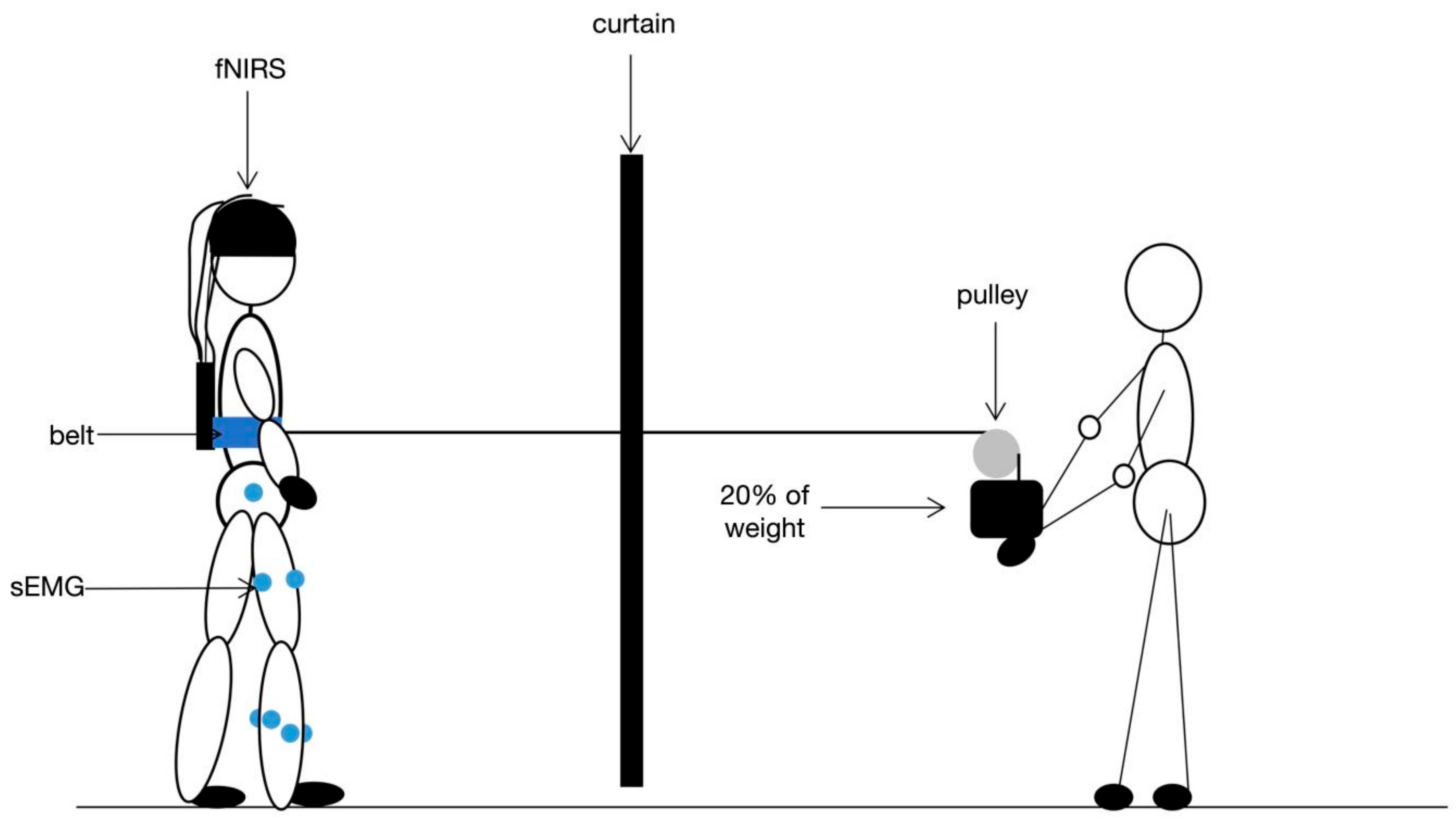 Brainsci 12 01479 g001 Brainsci 12 01479 g001