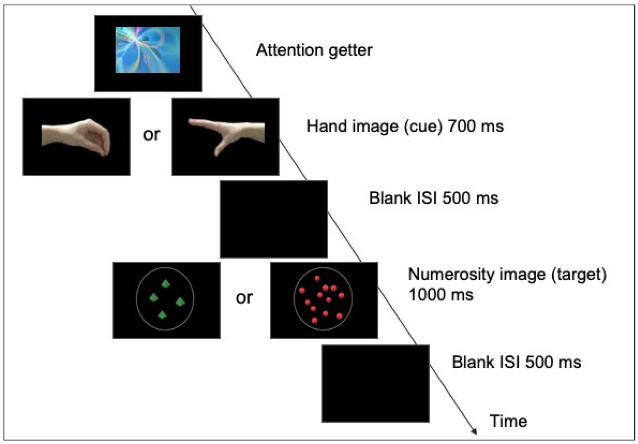 Brainsci 12 01480 g001