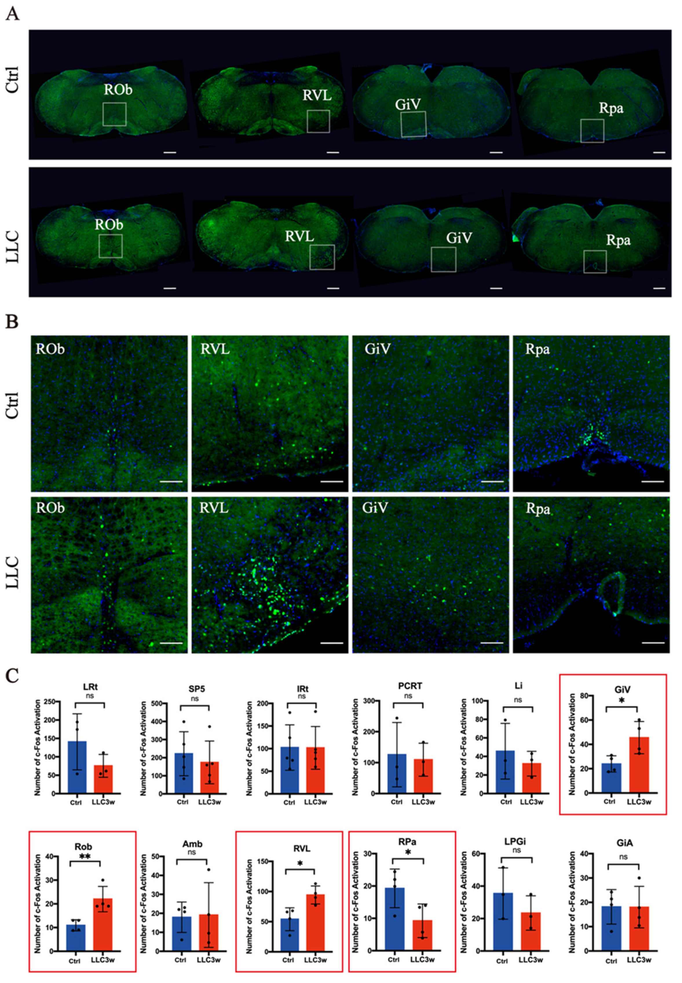 Brainsci 12 01486 g002