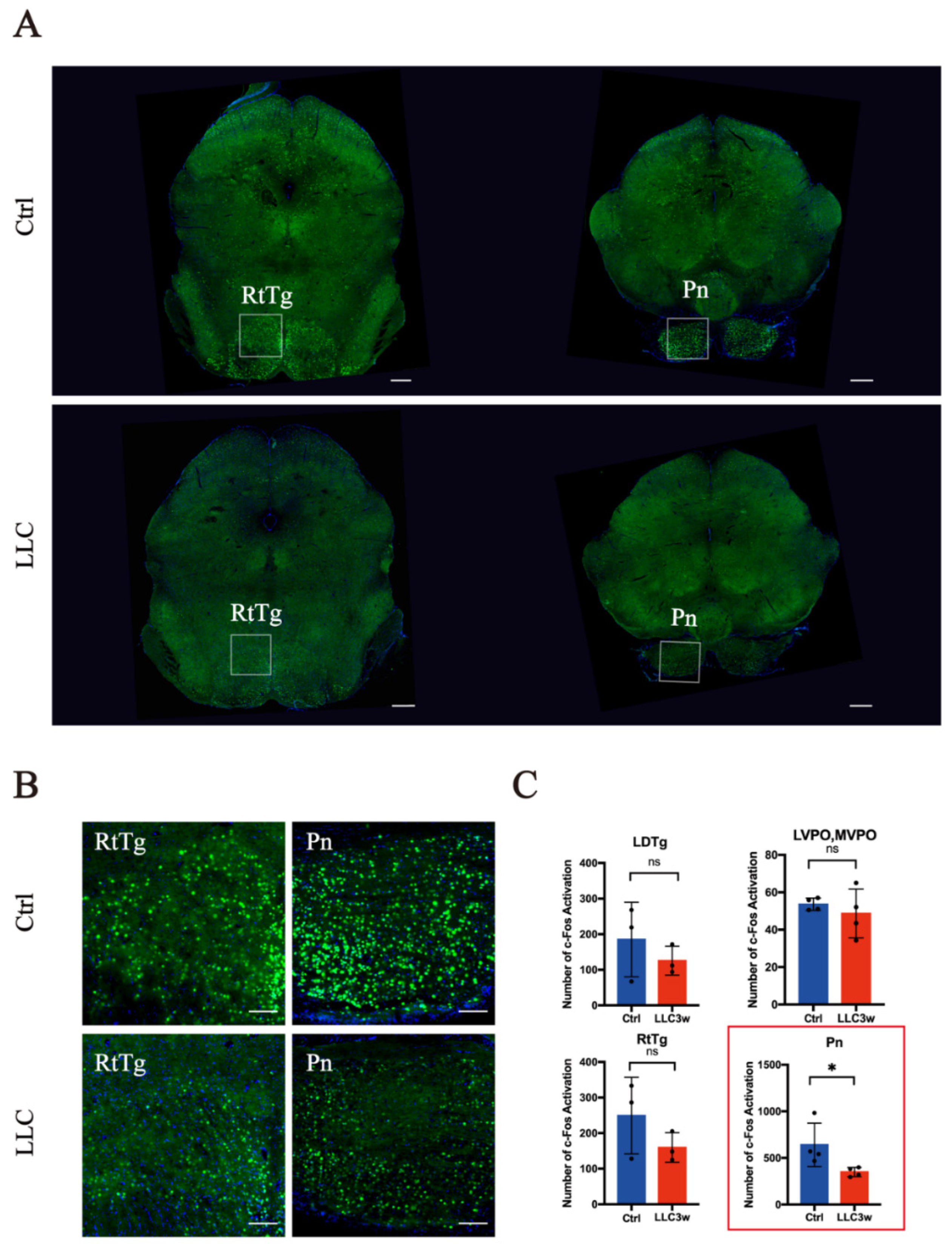 Brainsci 12 01486 g003
