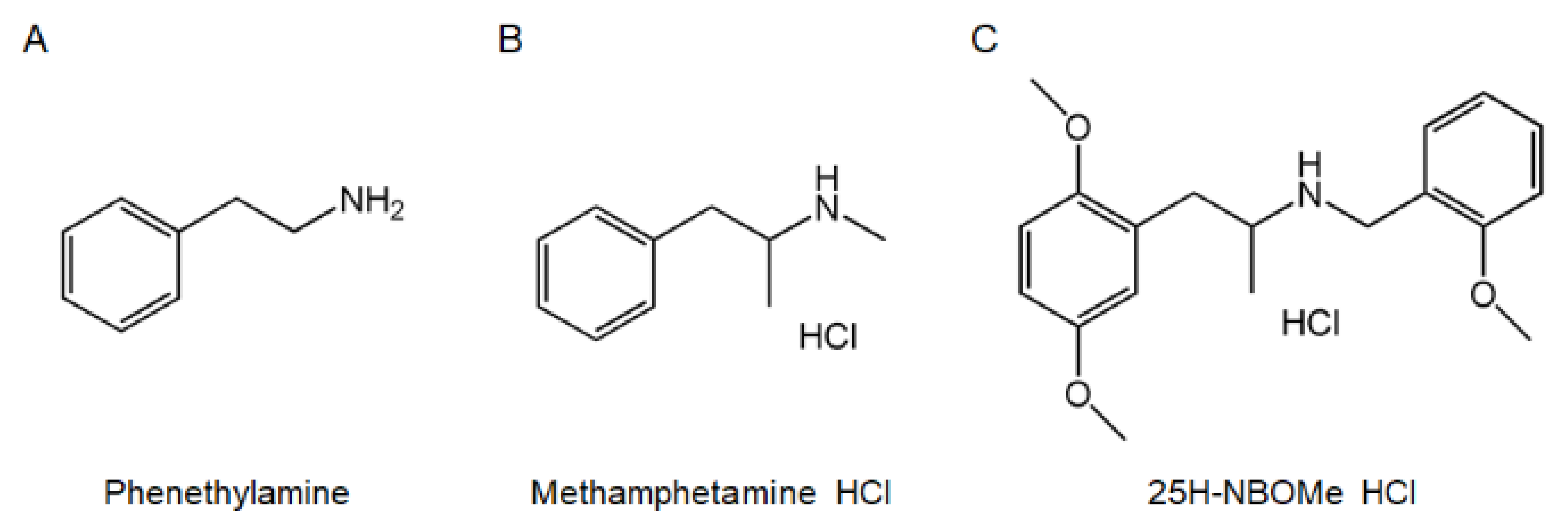 Brainsci 12 01490 g001