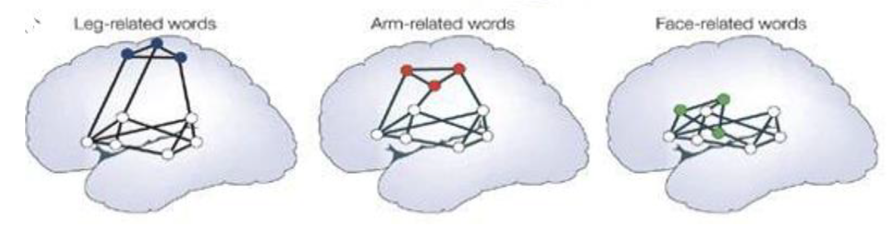 Brainsci 12 01501 g004 Brainsci 12 01501 g004