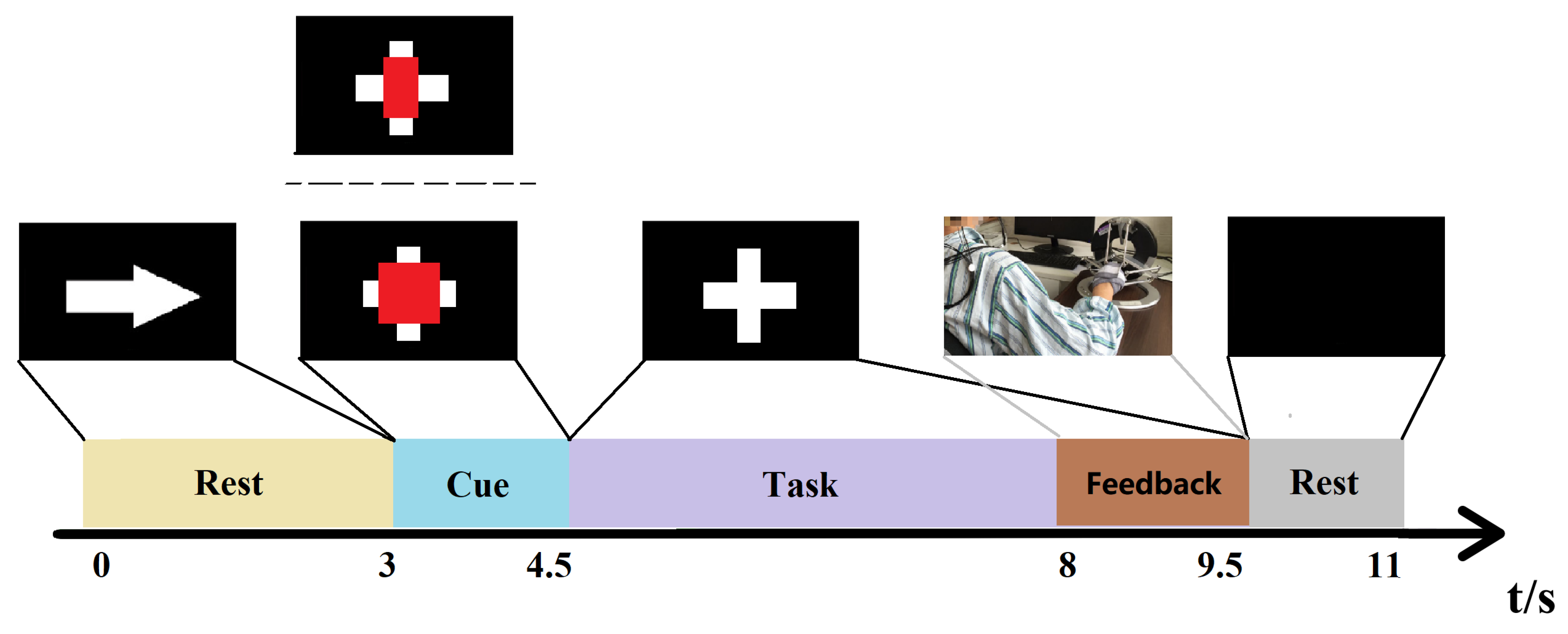 Brainsci 12 01502 g001 Brainsci 12 01502 g001