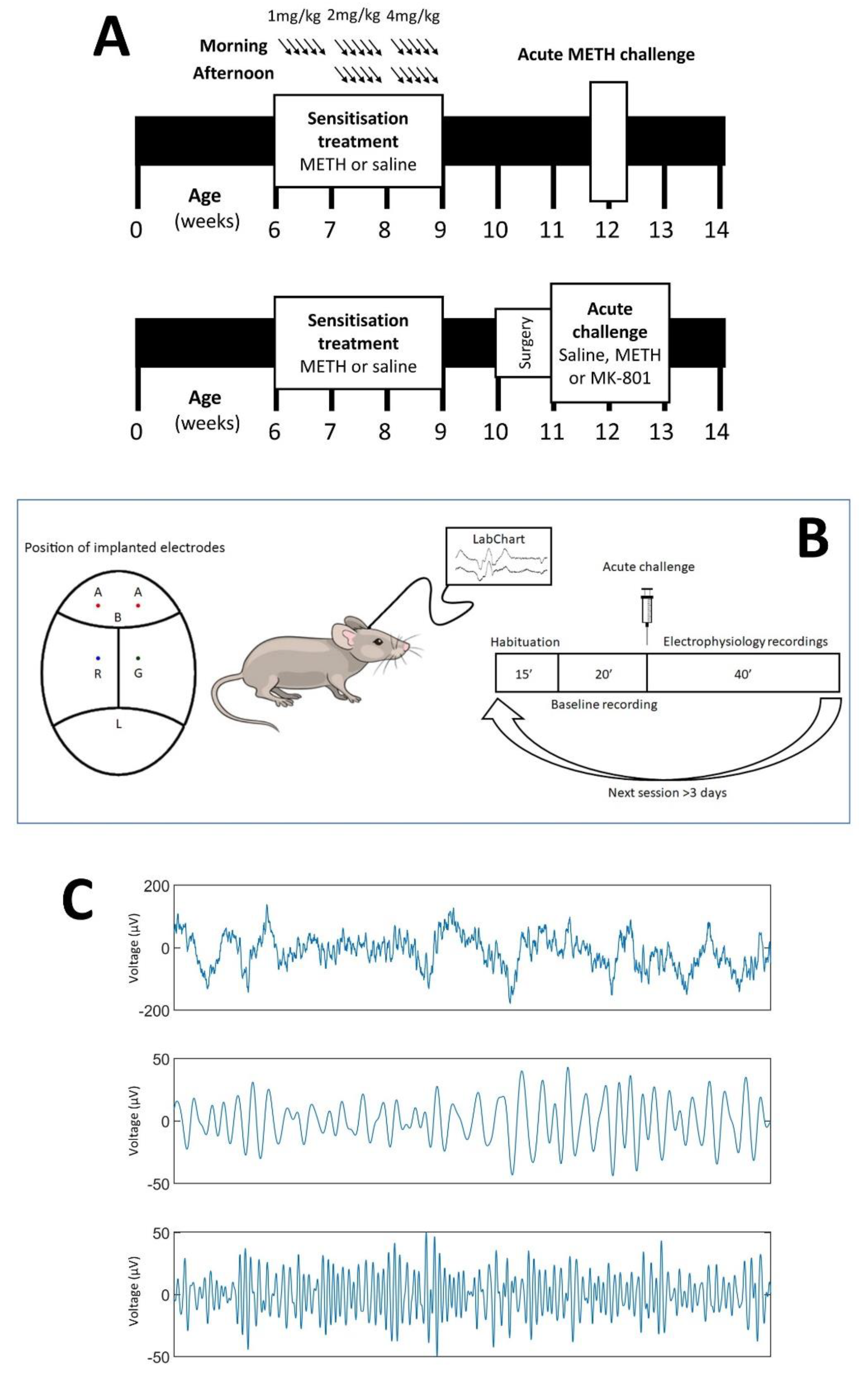 Brainsci 12 01503 g001 Brainsci 12 01503 g001