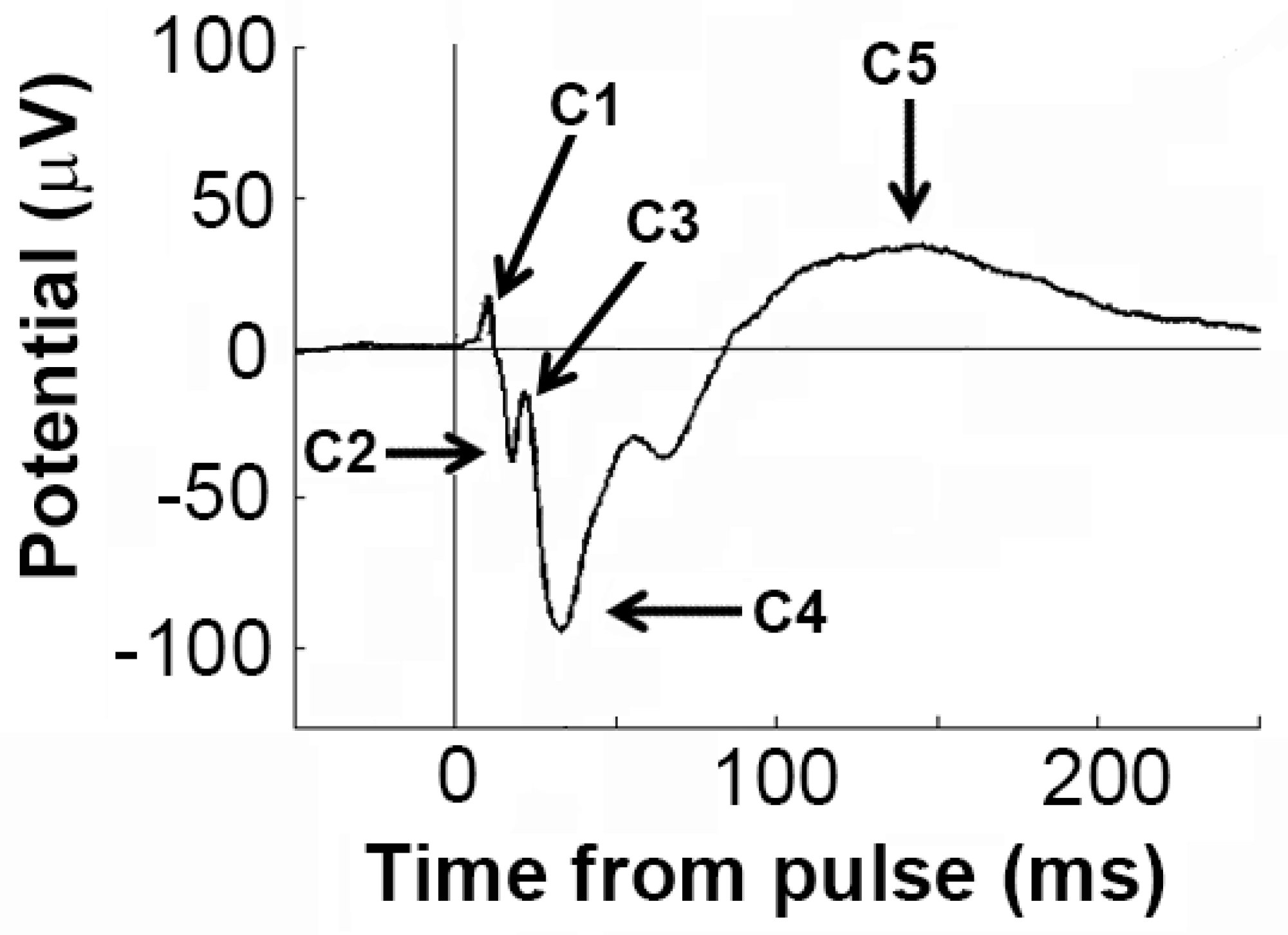 Brainsci 12 01503 g002 Brainsci 12 01503 g002