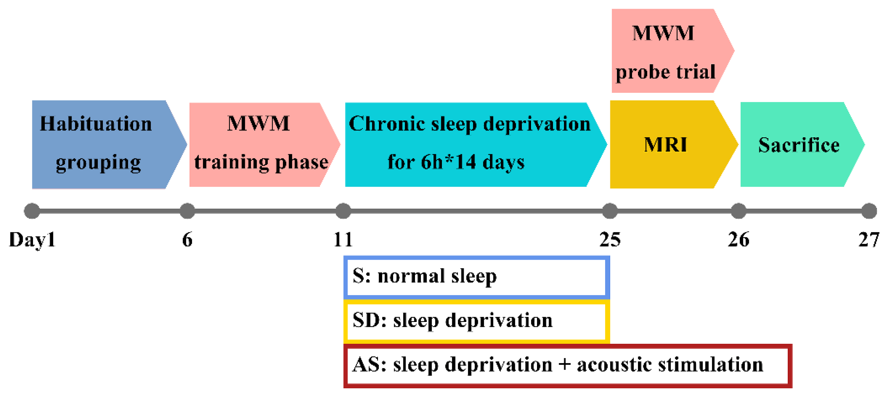 Brainsci 12 01509 g001