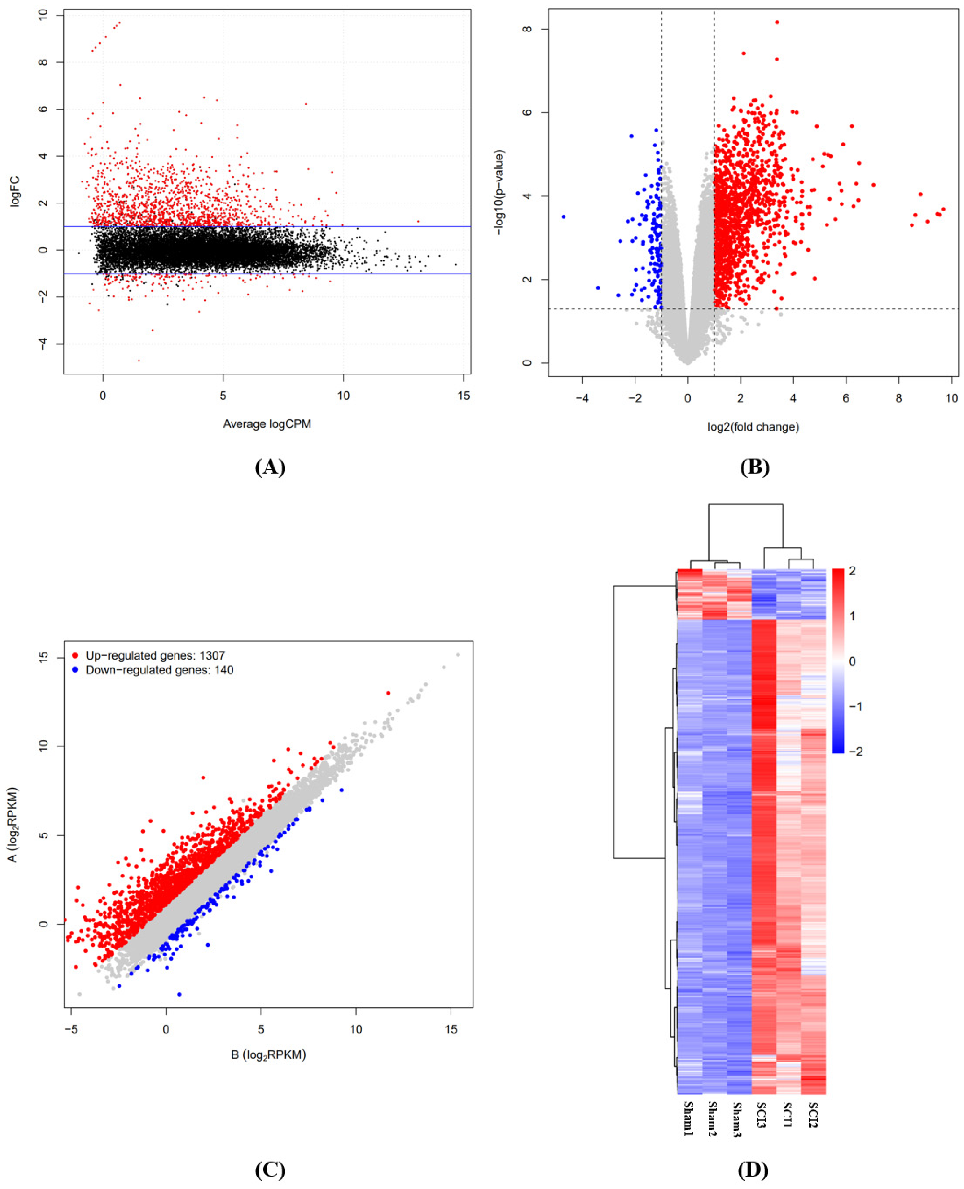 Brainsci 12 01515 g002 Brainsci 12 01515 g002
