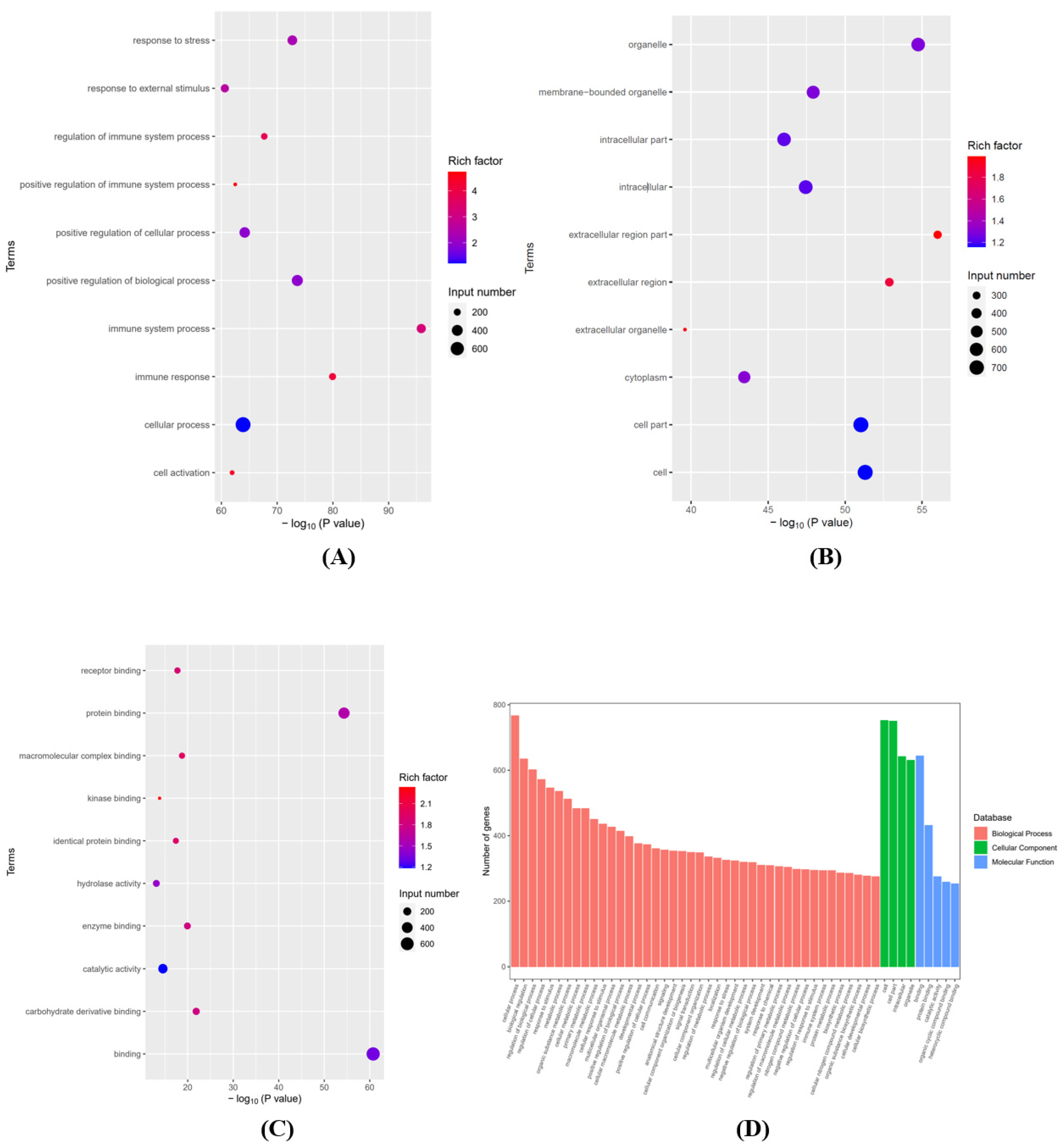 Brainsci 12 01515 g003 Brainsci 12 01515 g003