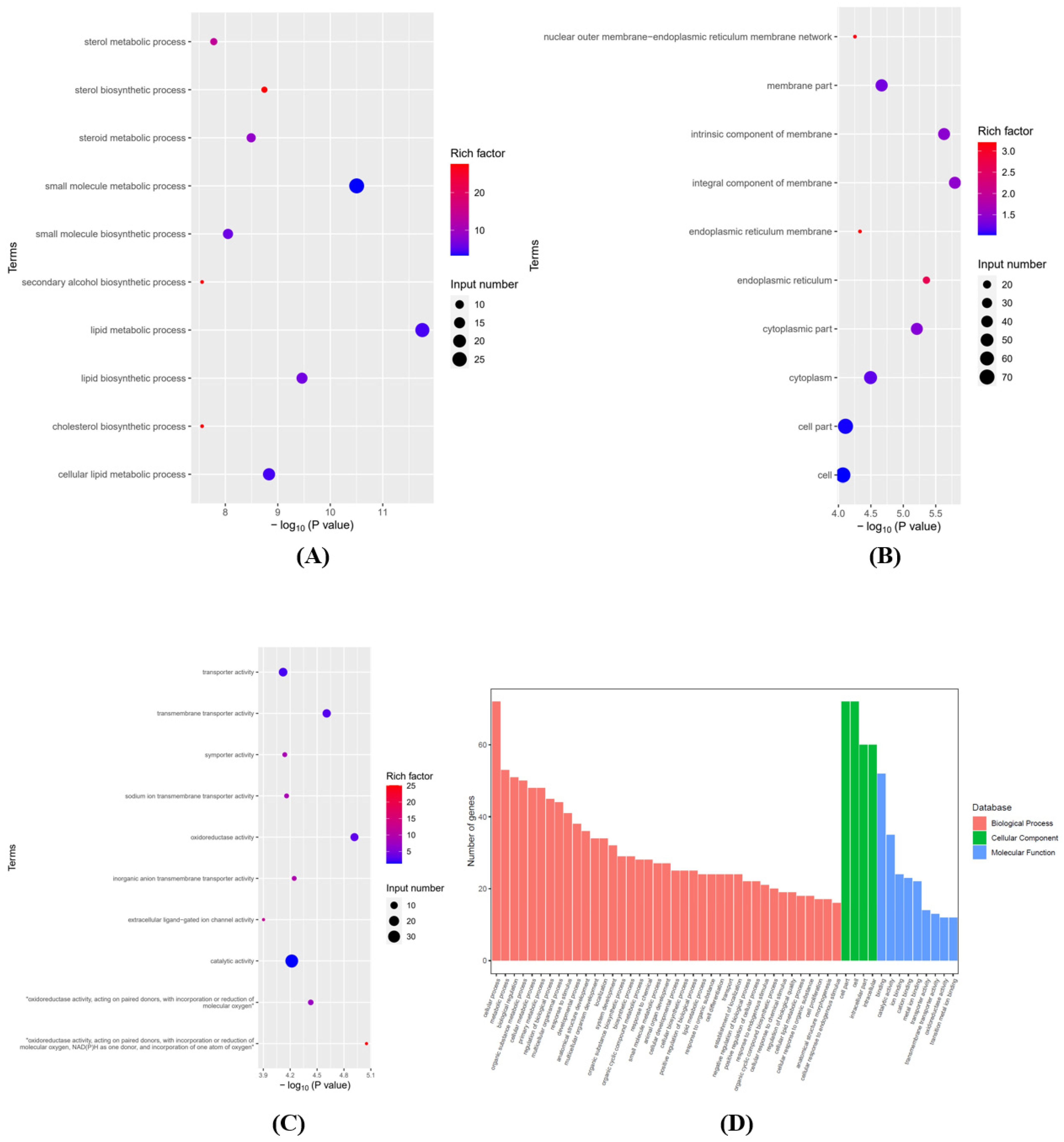 Brainsci 12 01515 g004 Brainsci 12 01515 g004