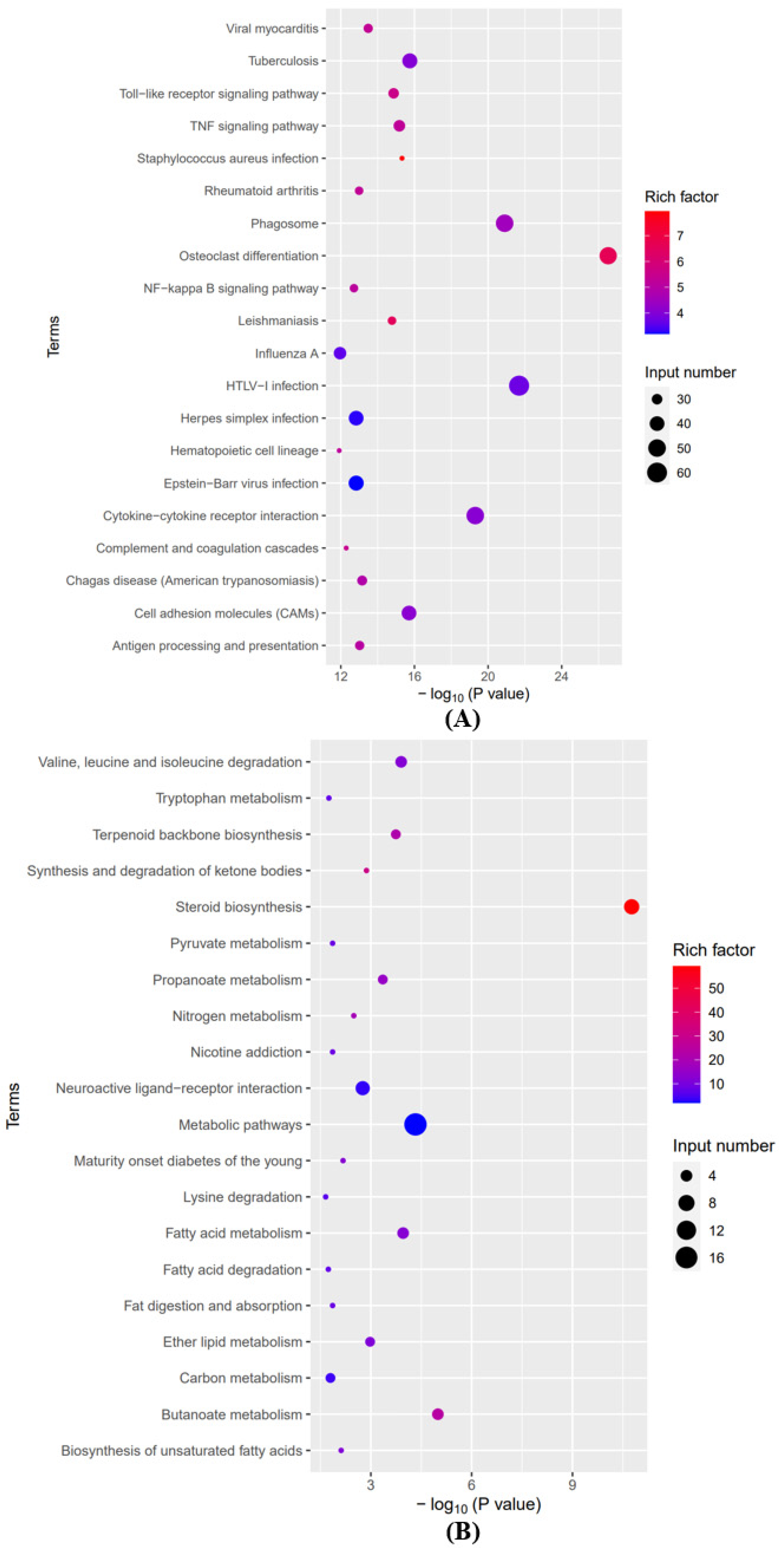 Brainsci 12 01515 g005 Brainsci 12 01515 g005