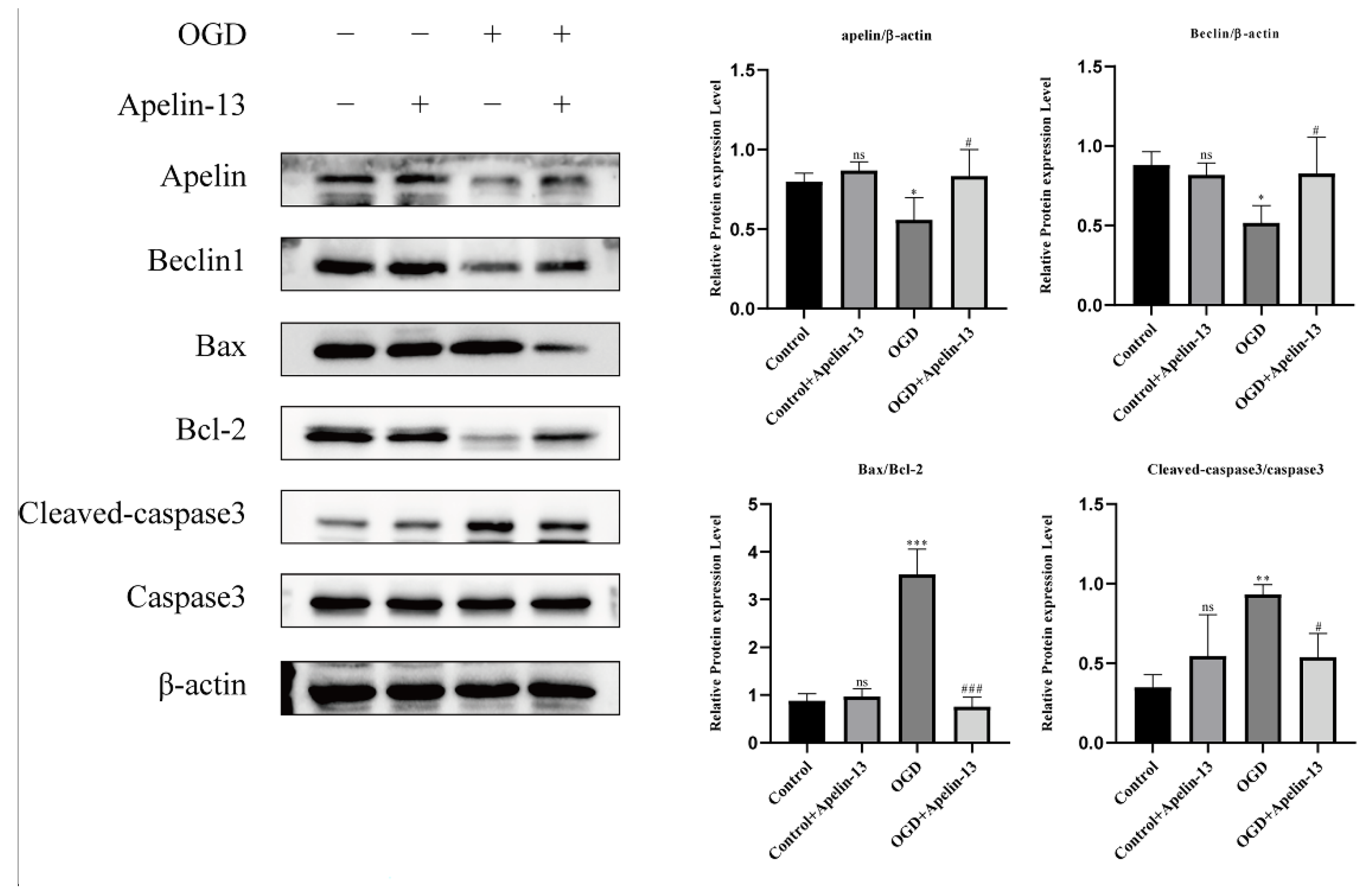 Brainsci 12 01515 g011 Brainsci 12 01515 g011