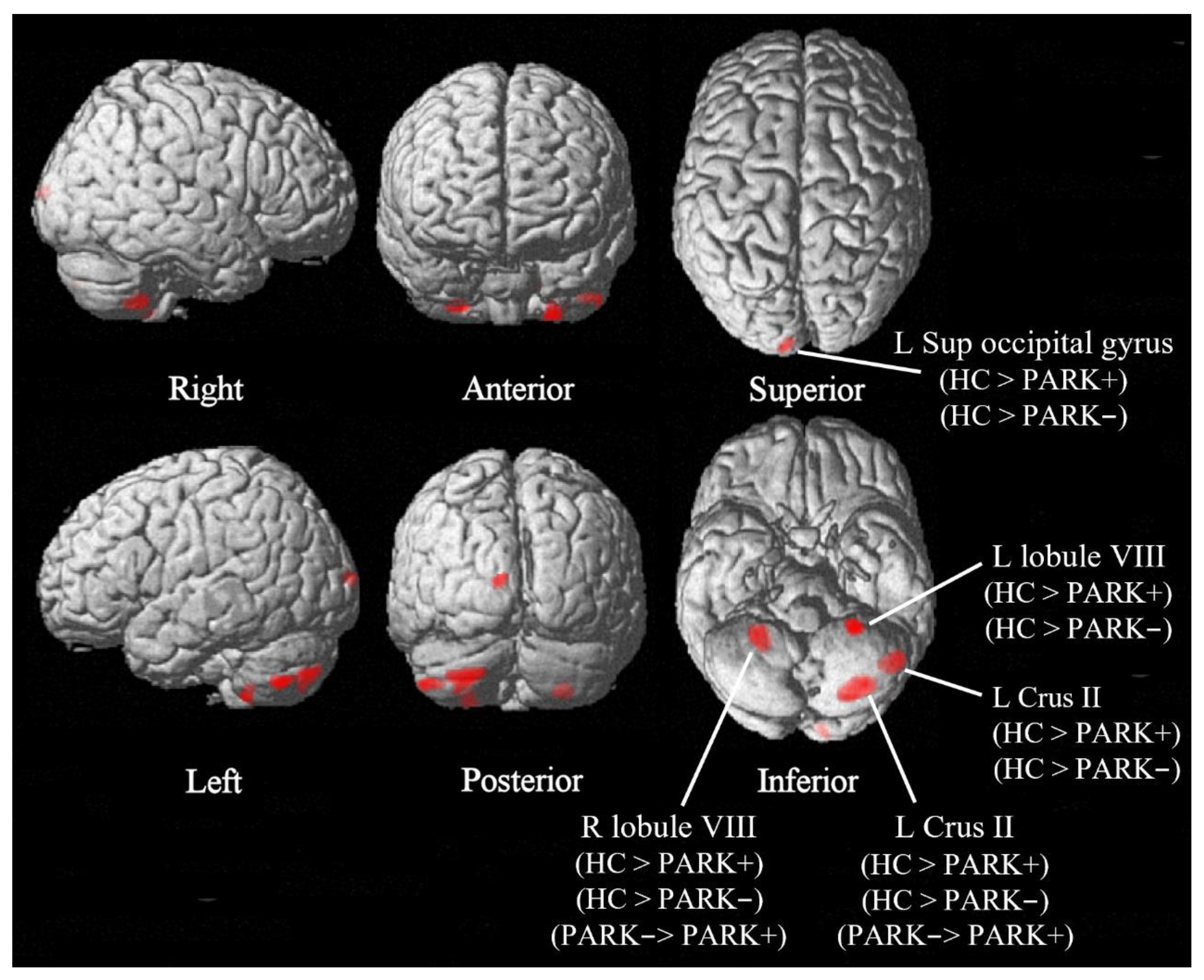 Brainsci 12 01533 g001