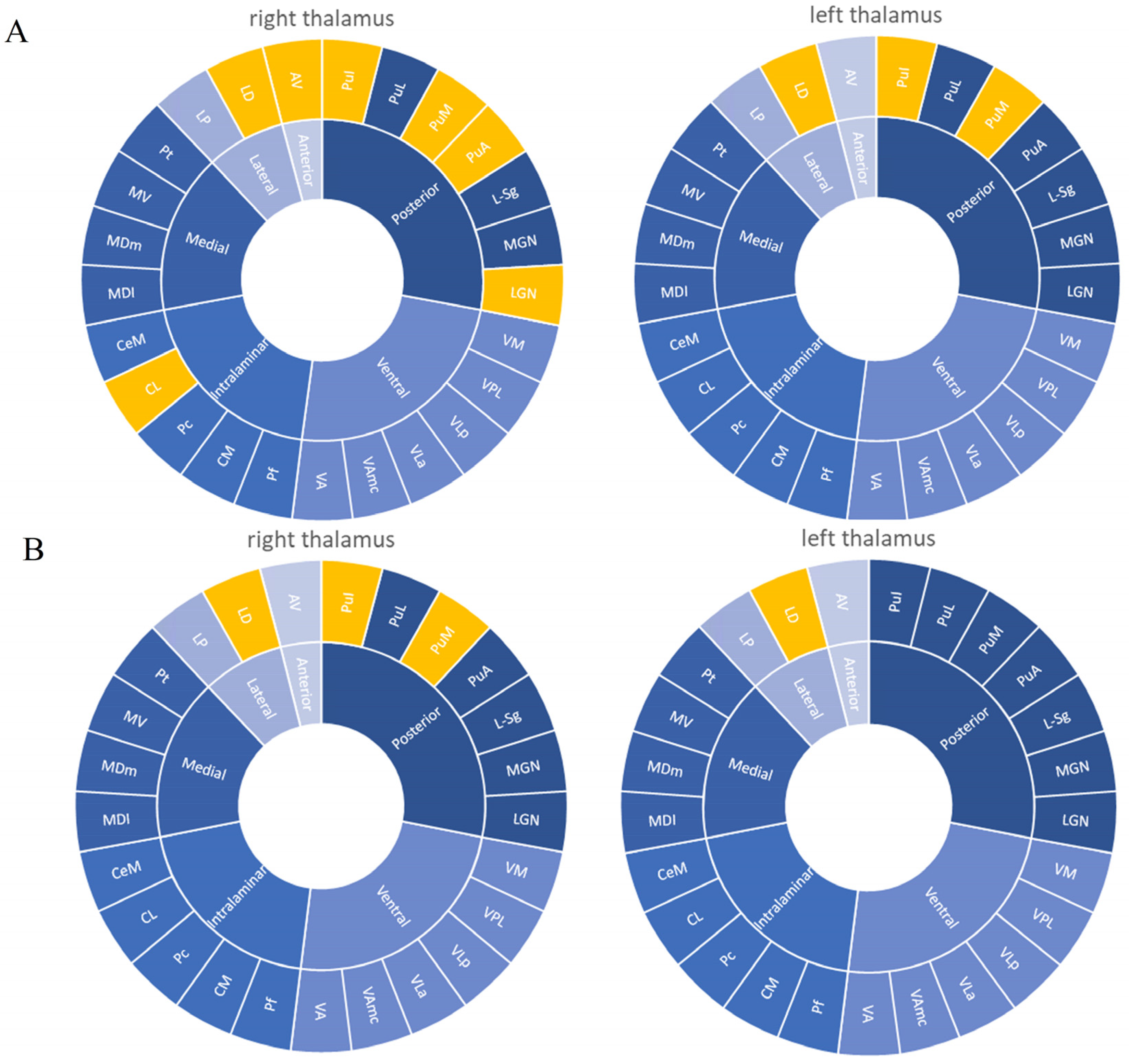 Brainsci 12 01538 g002 Brainsci 12 01538 g002
