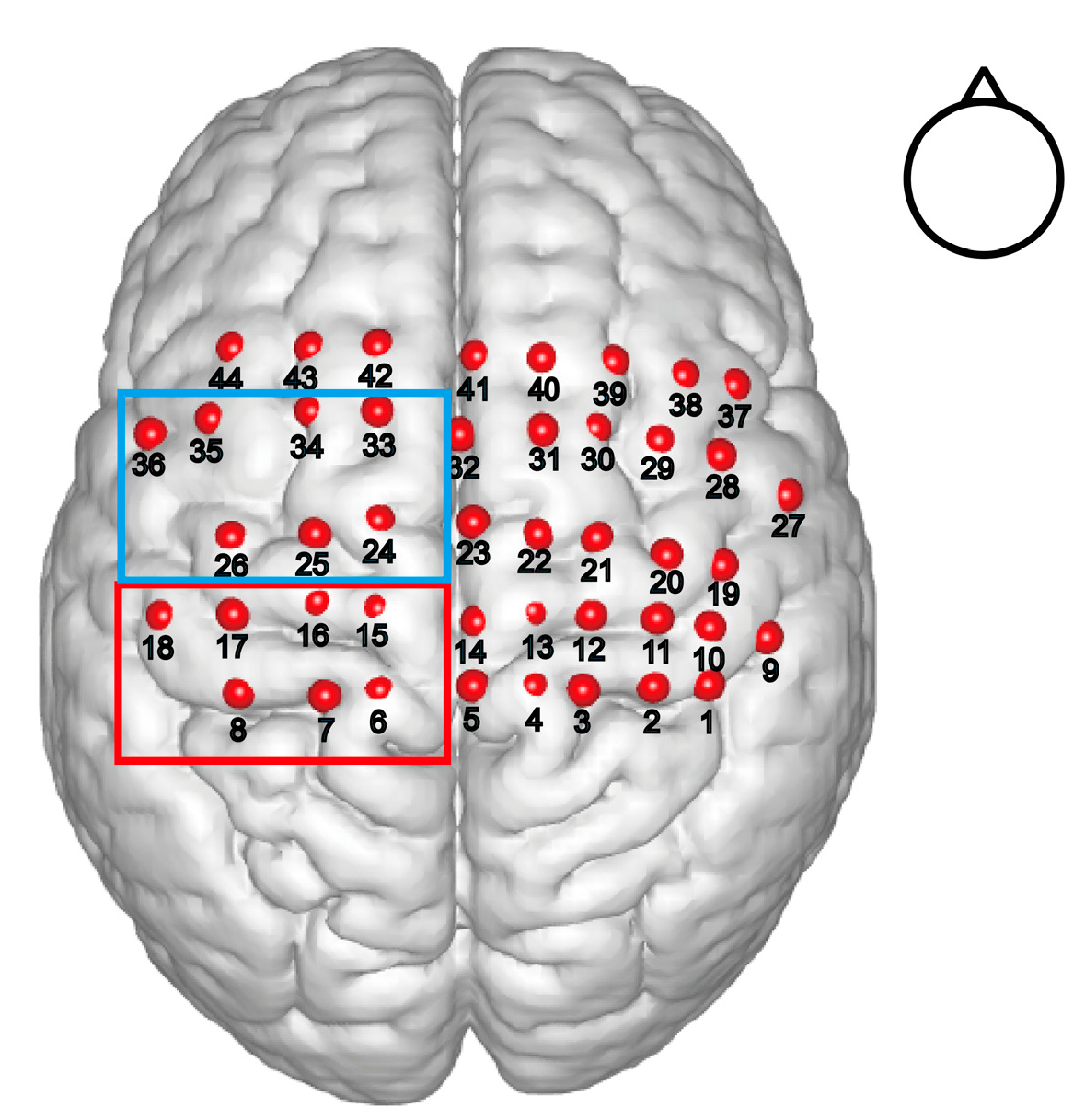 Brainsci 12 01539 g002