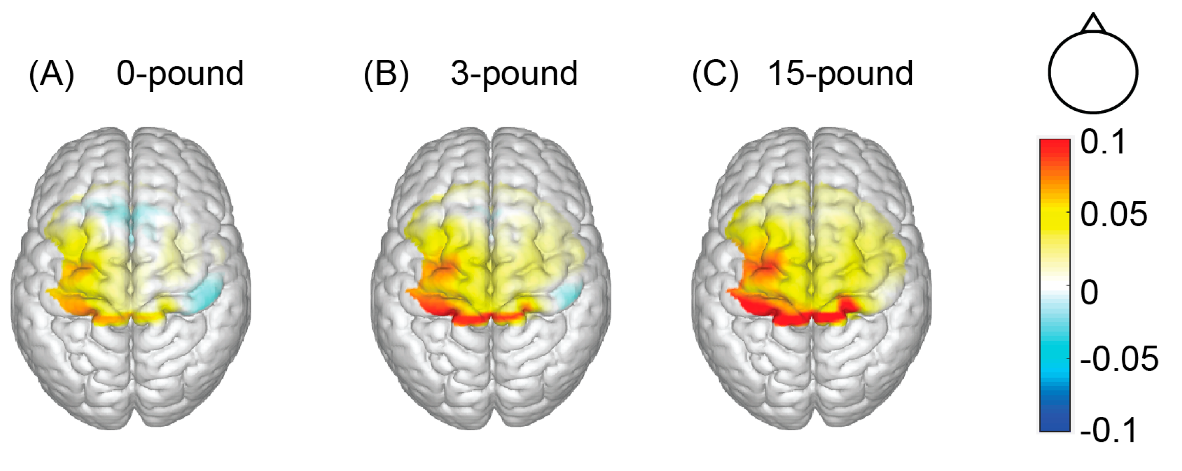 Brainsci 12 01539 g004