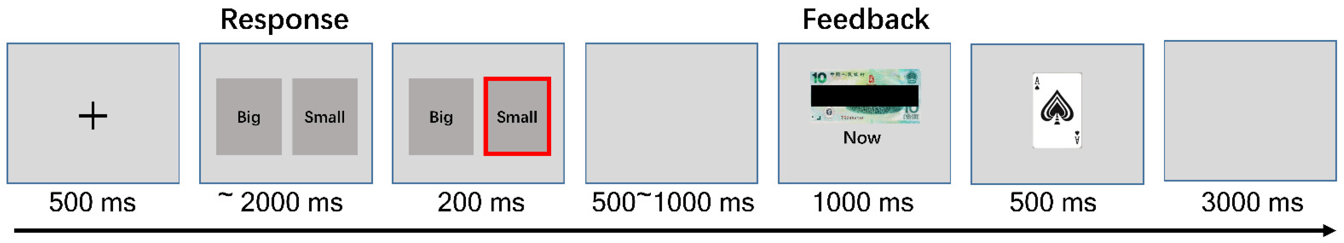 Brainsci 12 01560 g001 Brainsci 12 01560 g001