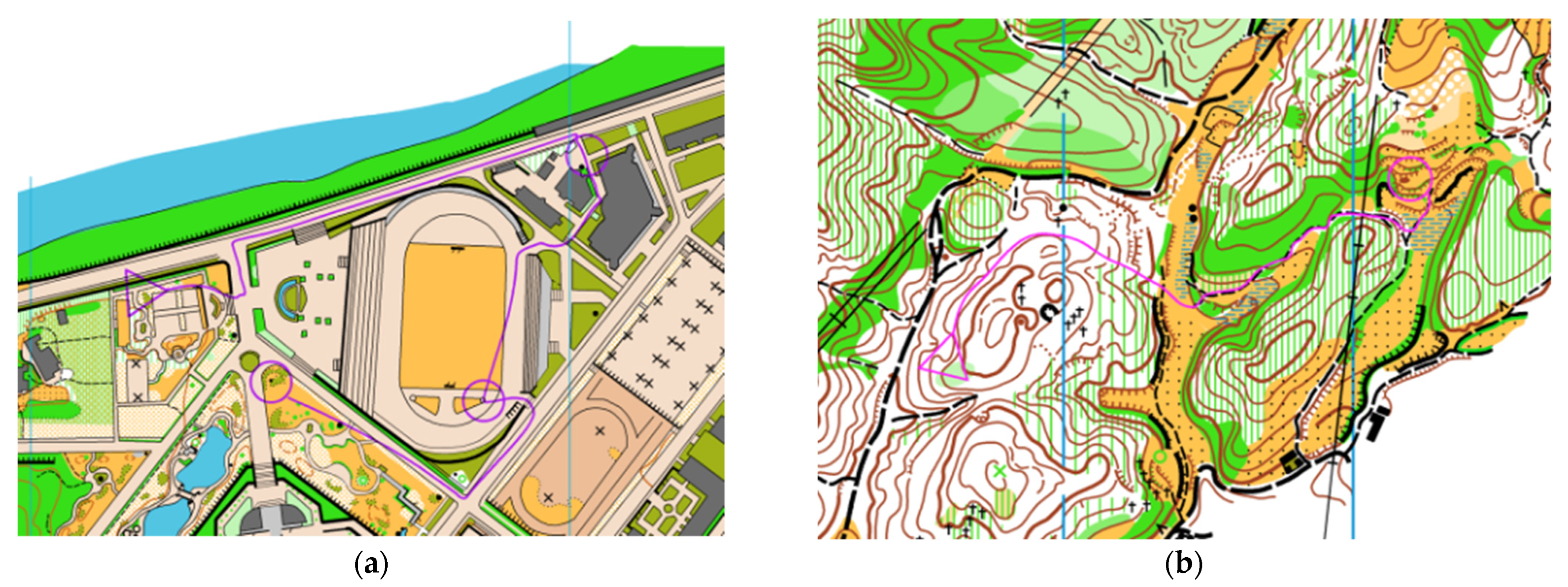 Brainsci 12 01561 g001 Brainsci 12 01561 g001