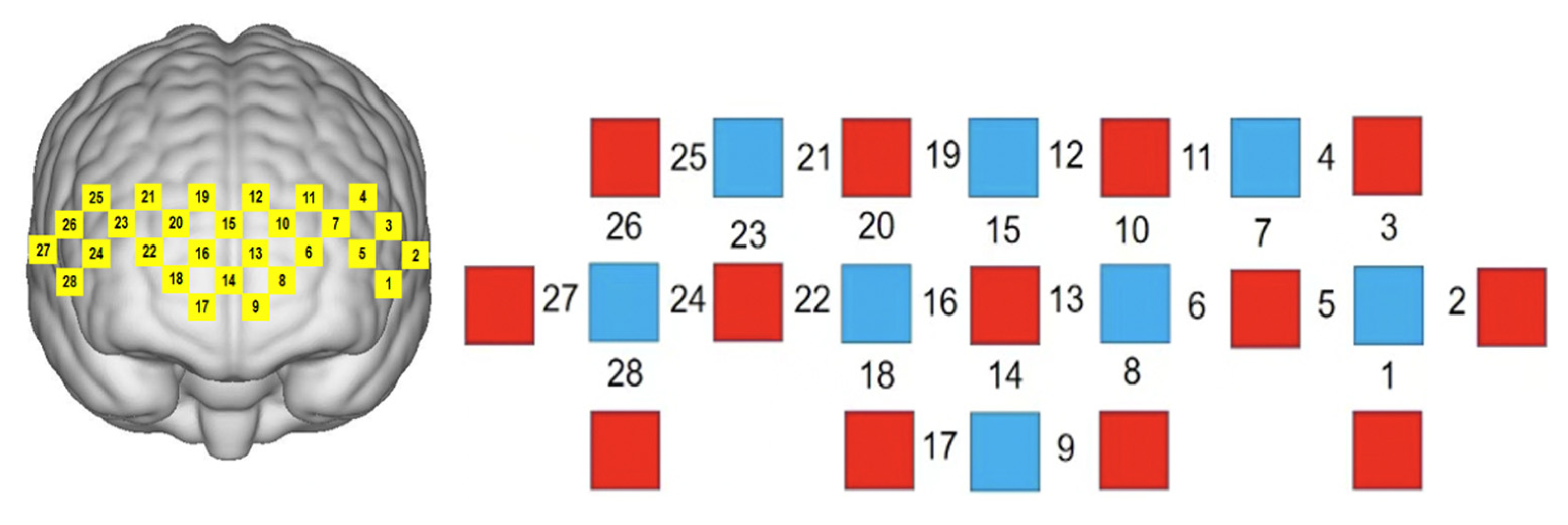 Brainsci 12 01561 g002 Brainsci 12 01561 g002