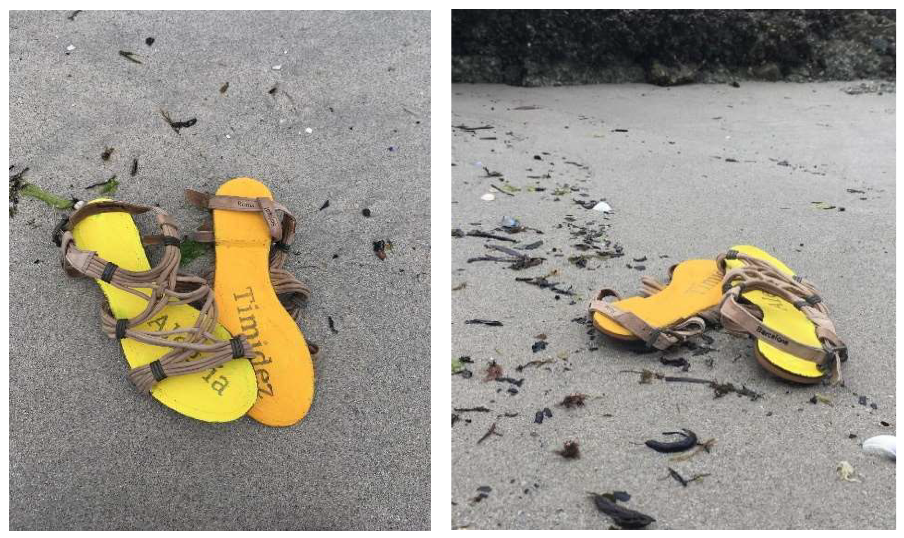 Brainsci 12 01565 g001