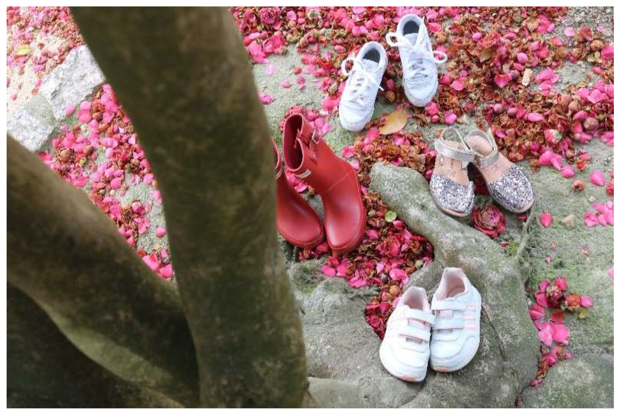 Brainsci 12 01565 g003