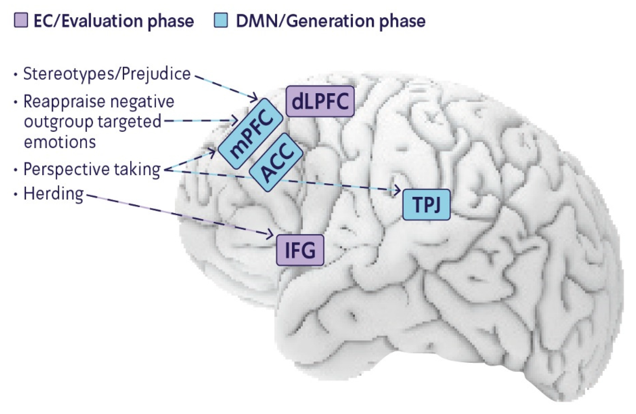 Brainsci 12 01566 g001
