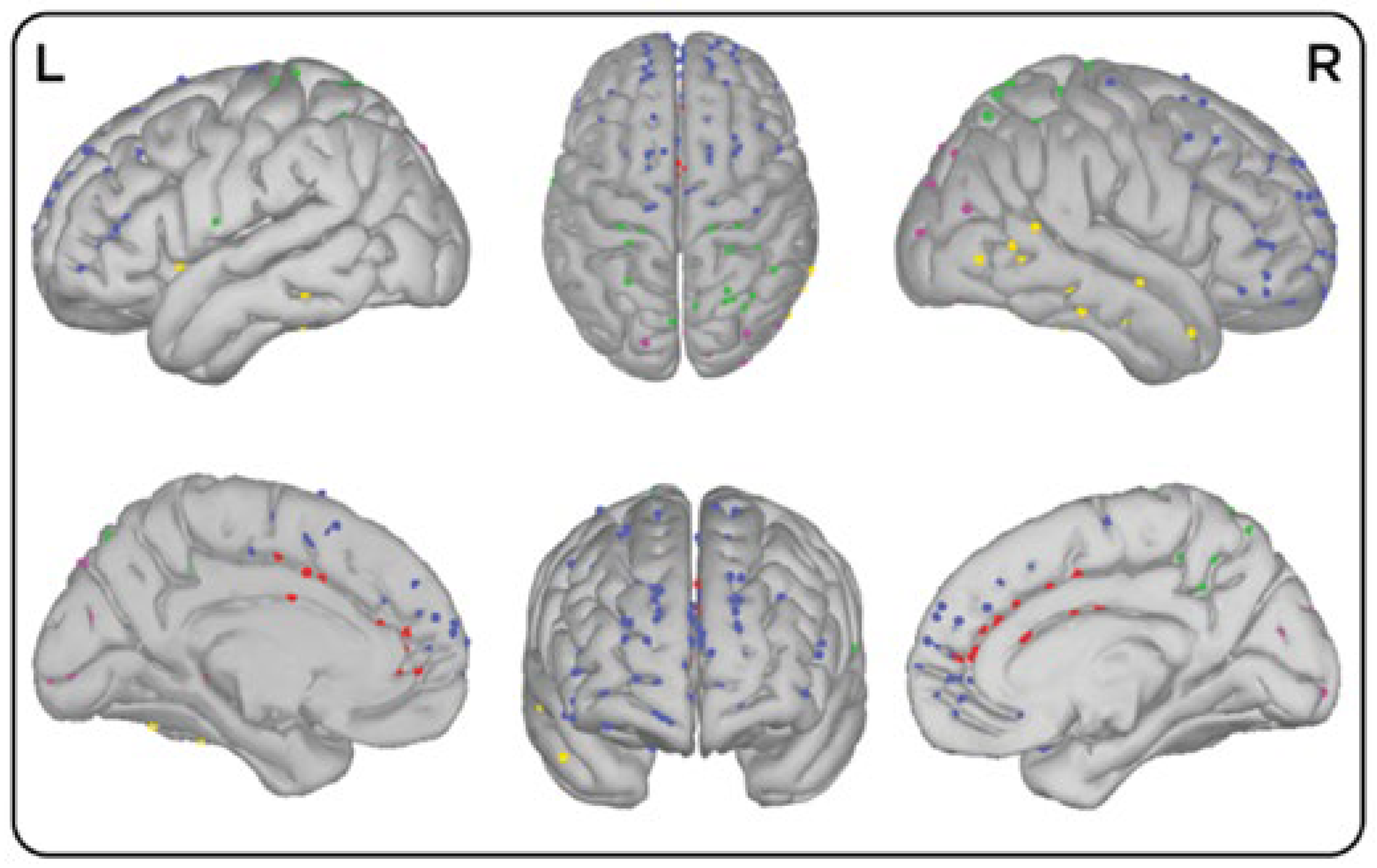 Brainsci 12 01574 g001
