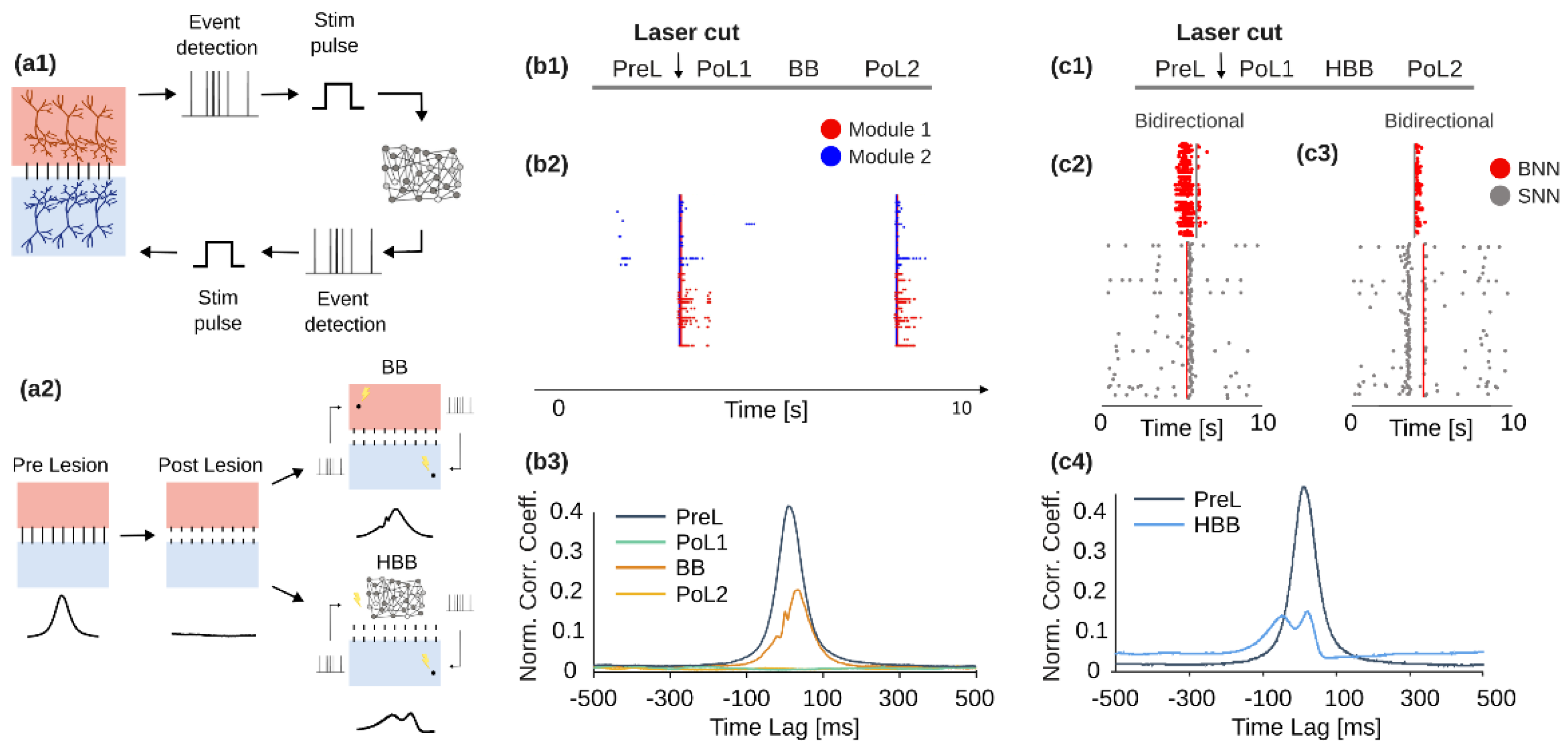 Brainsci 12 01578 g002
