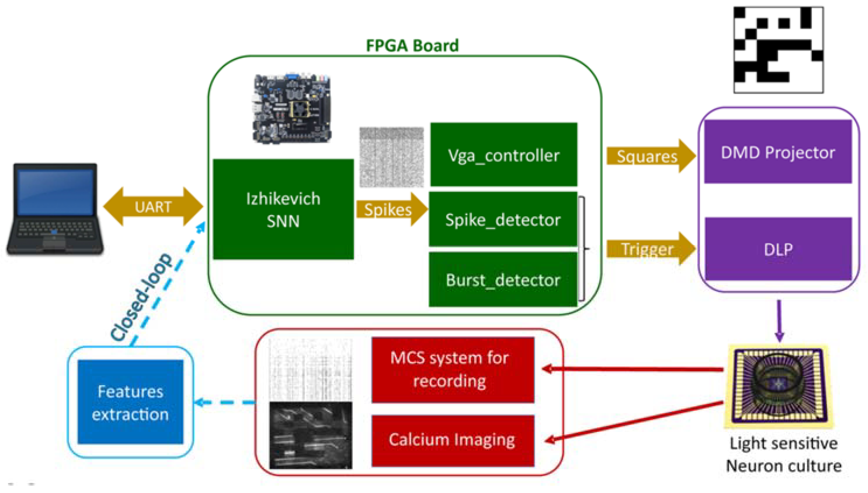 Brainsci 12 01578 g003