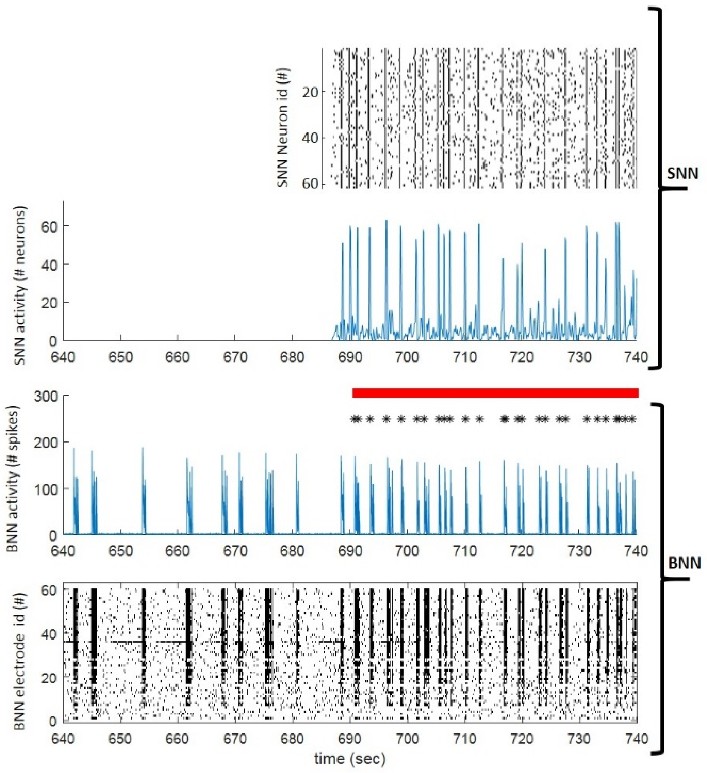Brainsci 12 01578 g005