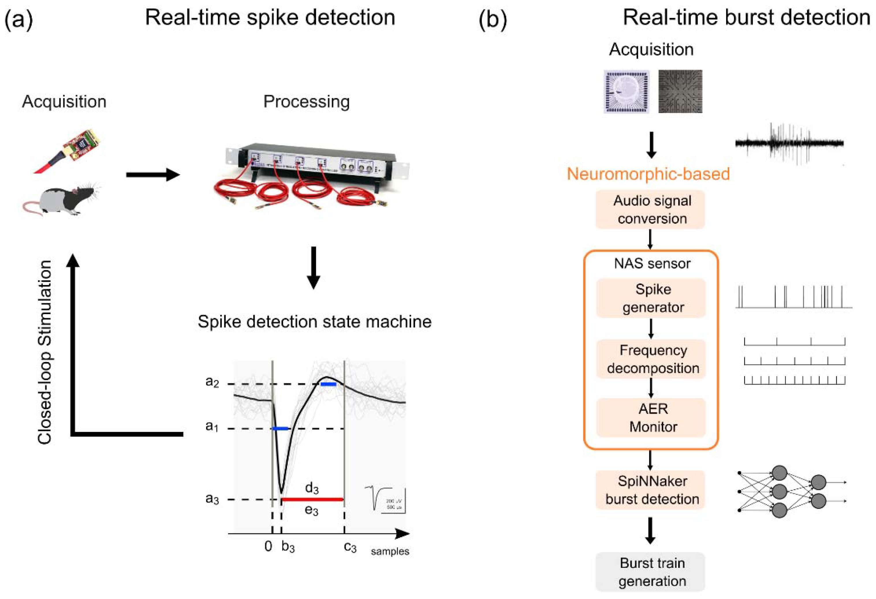 Brainsci 12 01578 g006