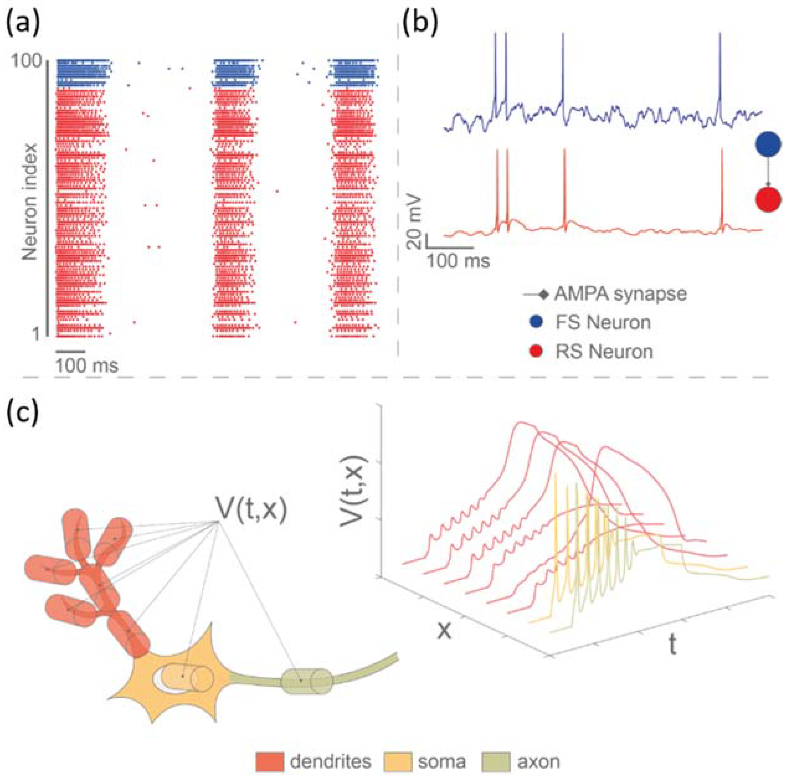 Brainsci 12 01578 g007