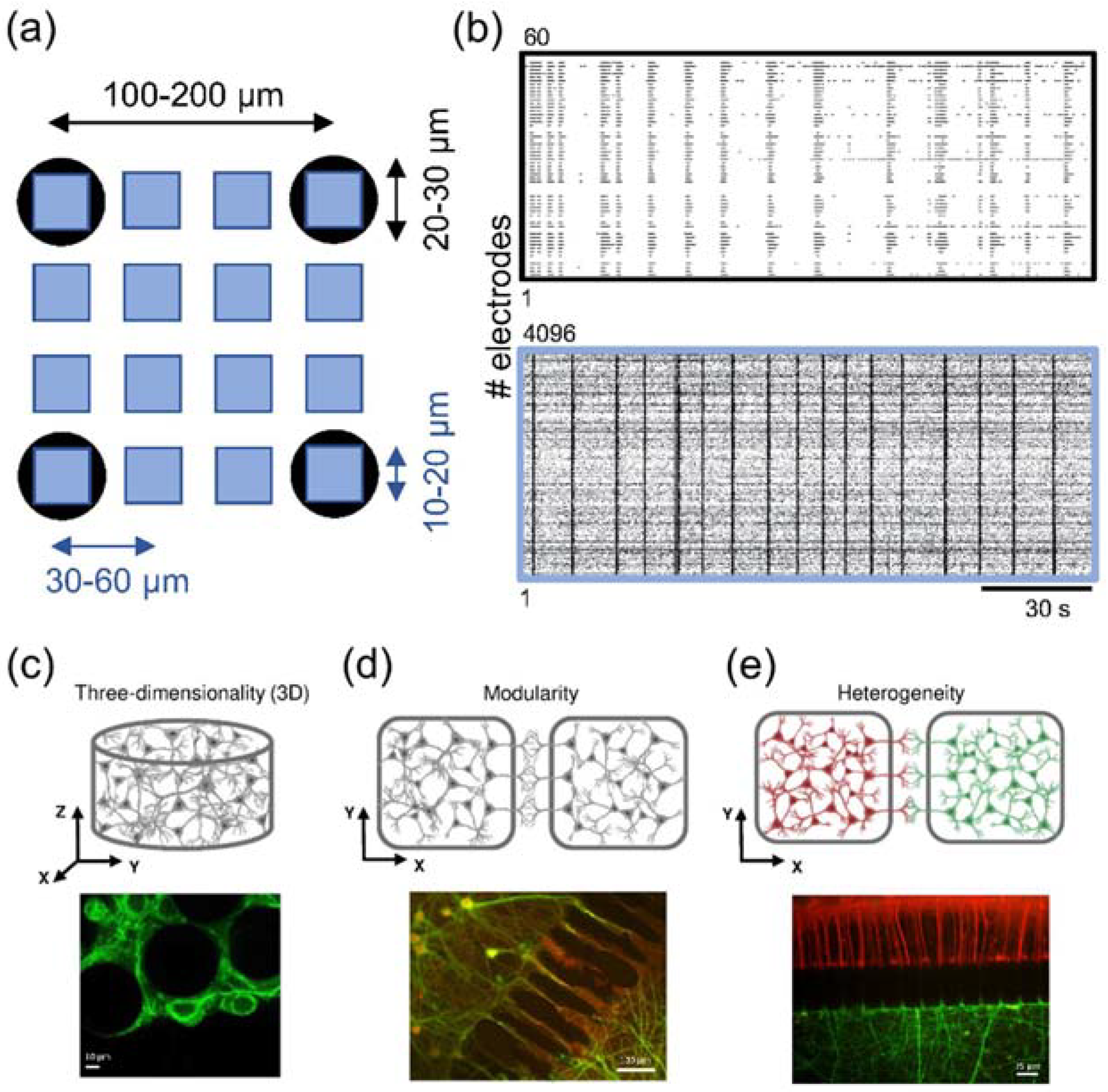 Brainsci 12 01578 g008