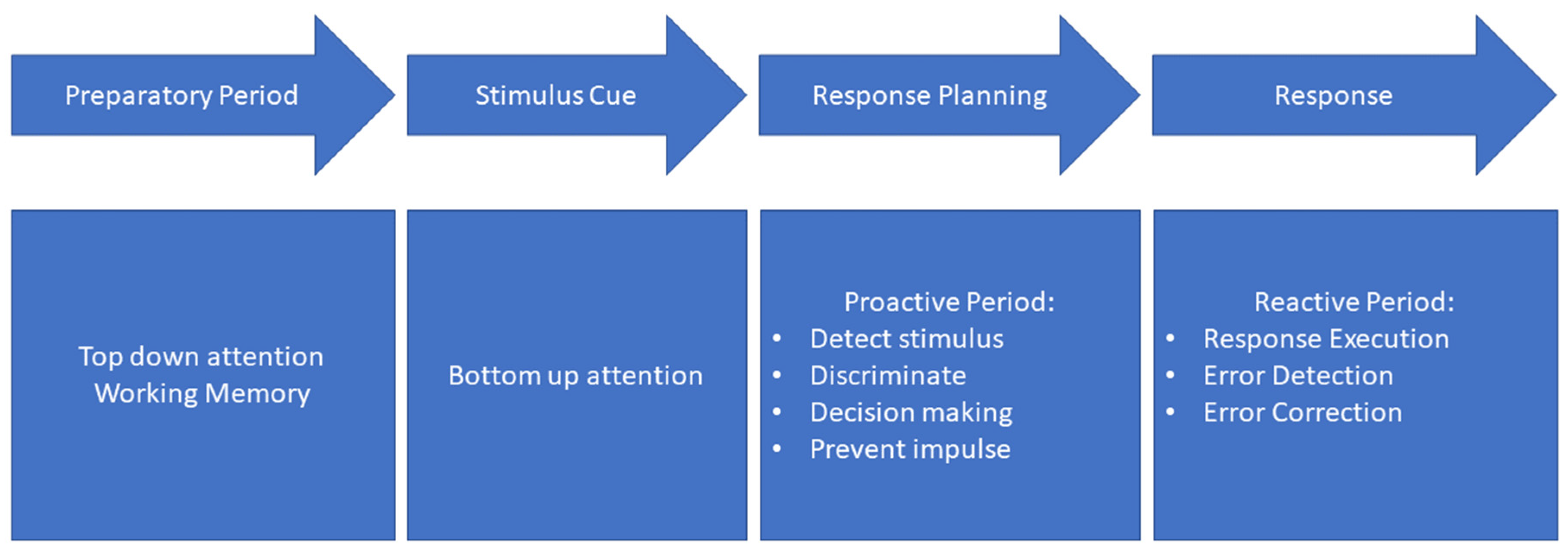 Brainsci 12 01581 g001 Brainsci 12 01581 g001