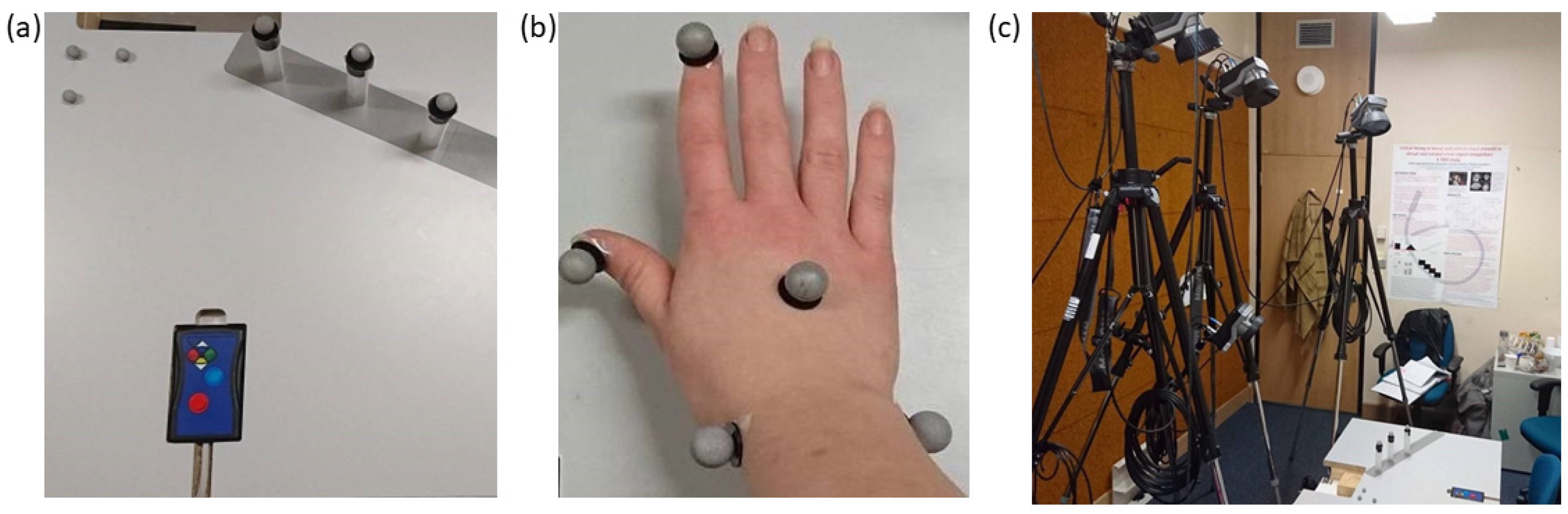 Brainsci 12 01581 g002 Brainsci 12 01581 g002