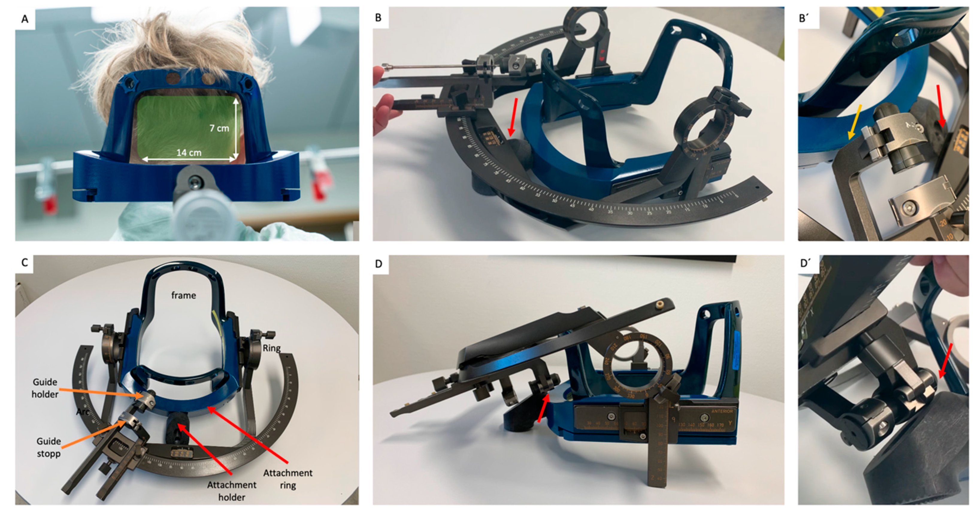 Brainsci 12 01608 g001