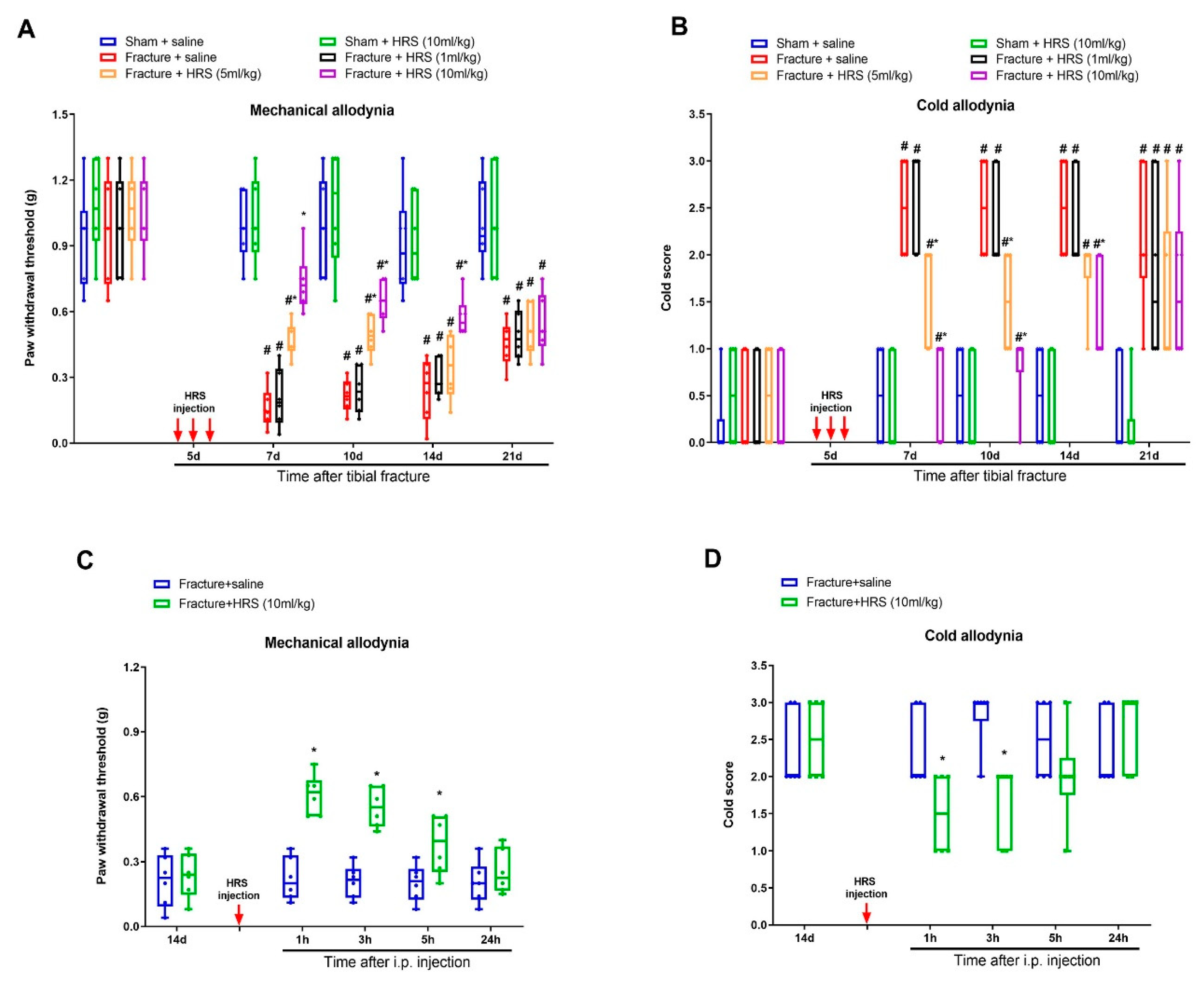 Brainsci 12 01610 g001
