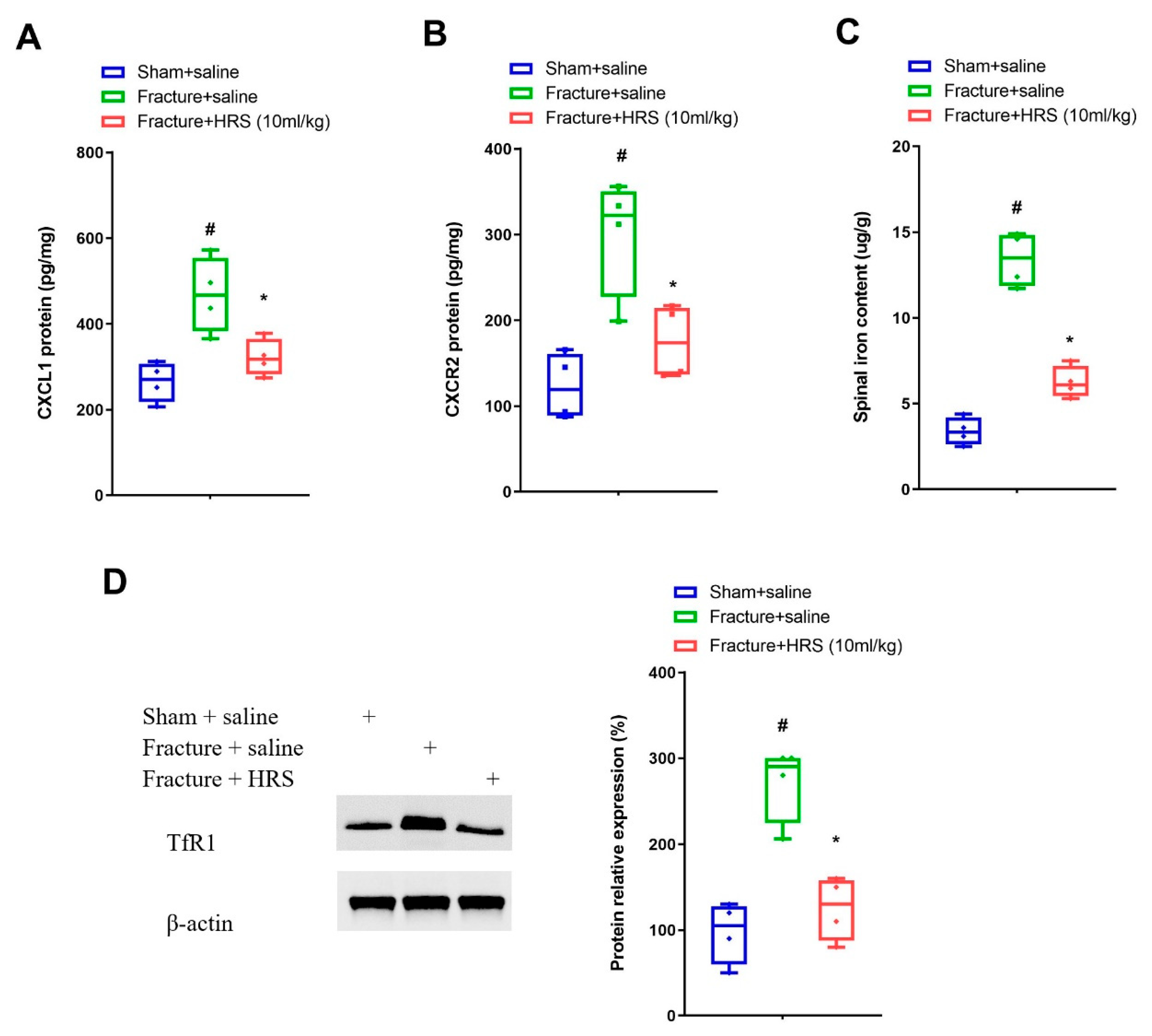 Brainsci 12 01610 g002