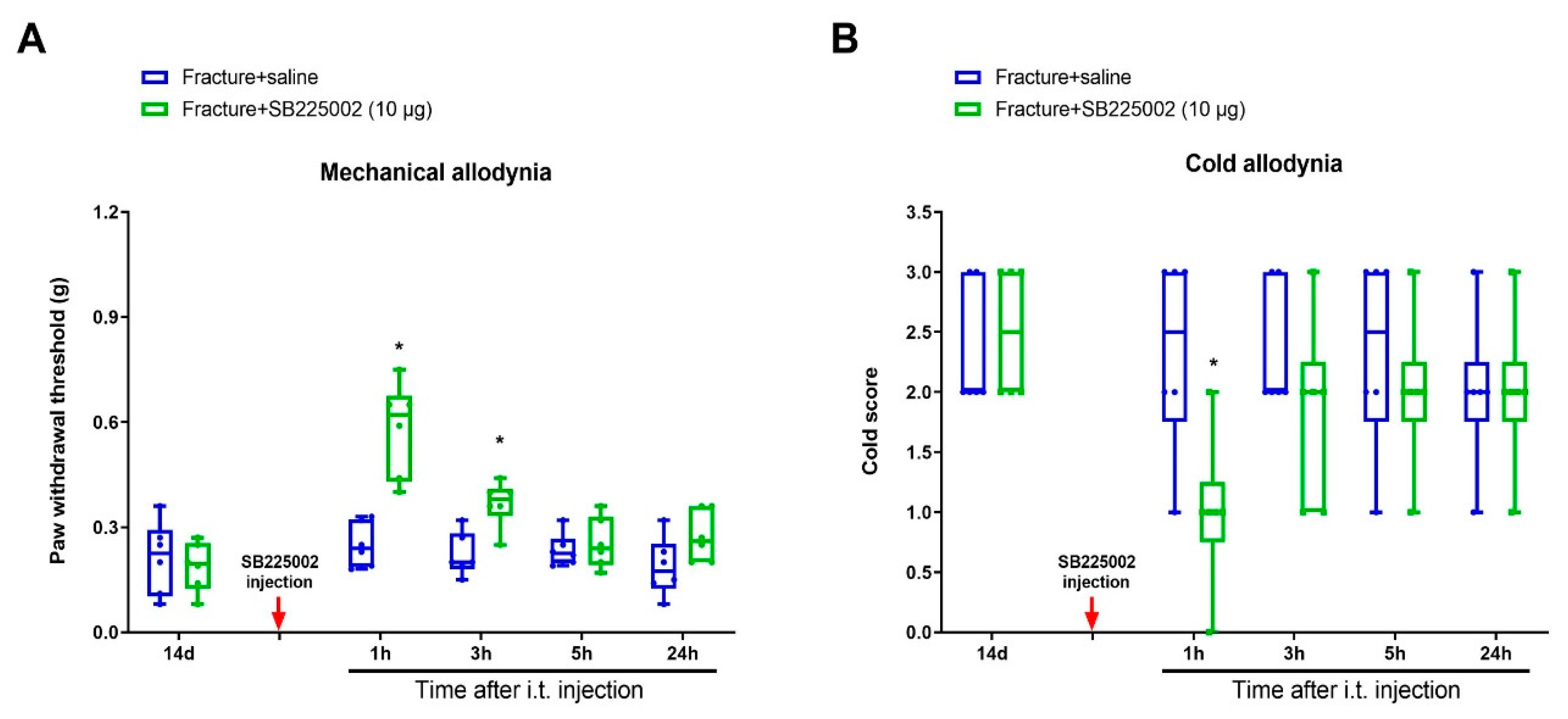Brainsci 12 01610 g004