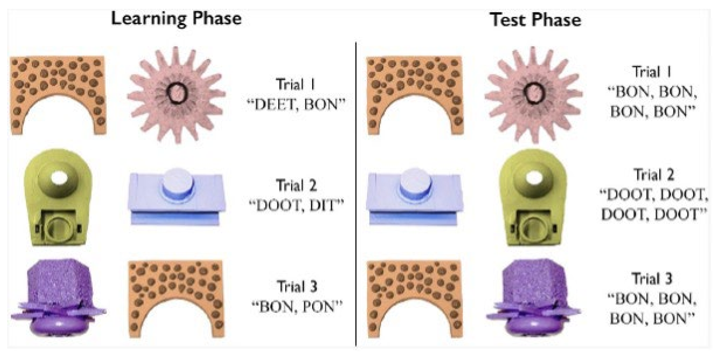 Brainsci 12 01618 g002 Brainsci 12 01618 g002