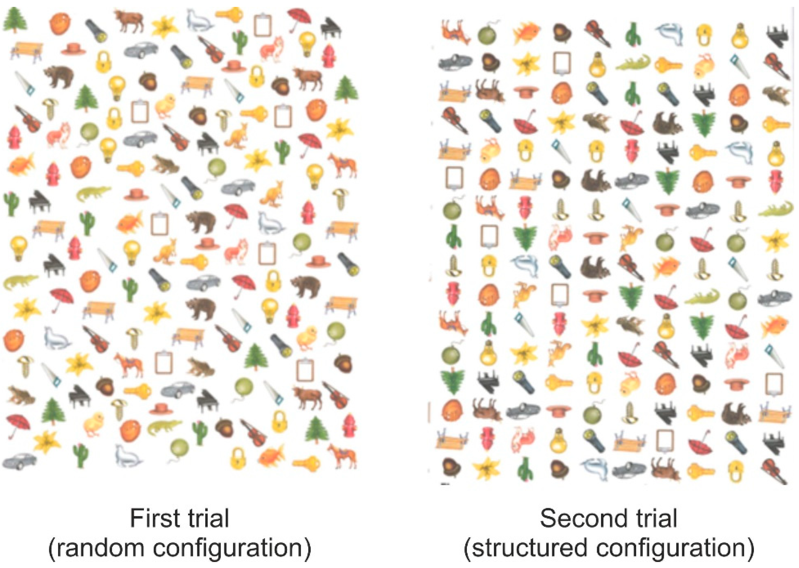 Brainsci 12 01624 g002