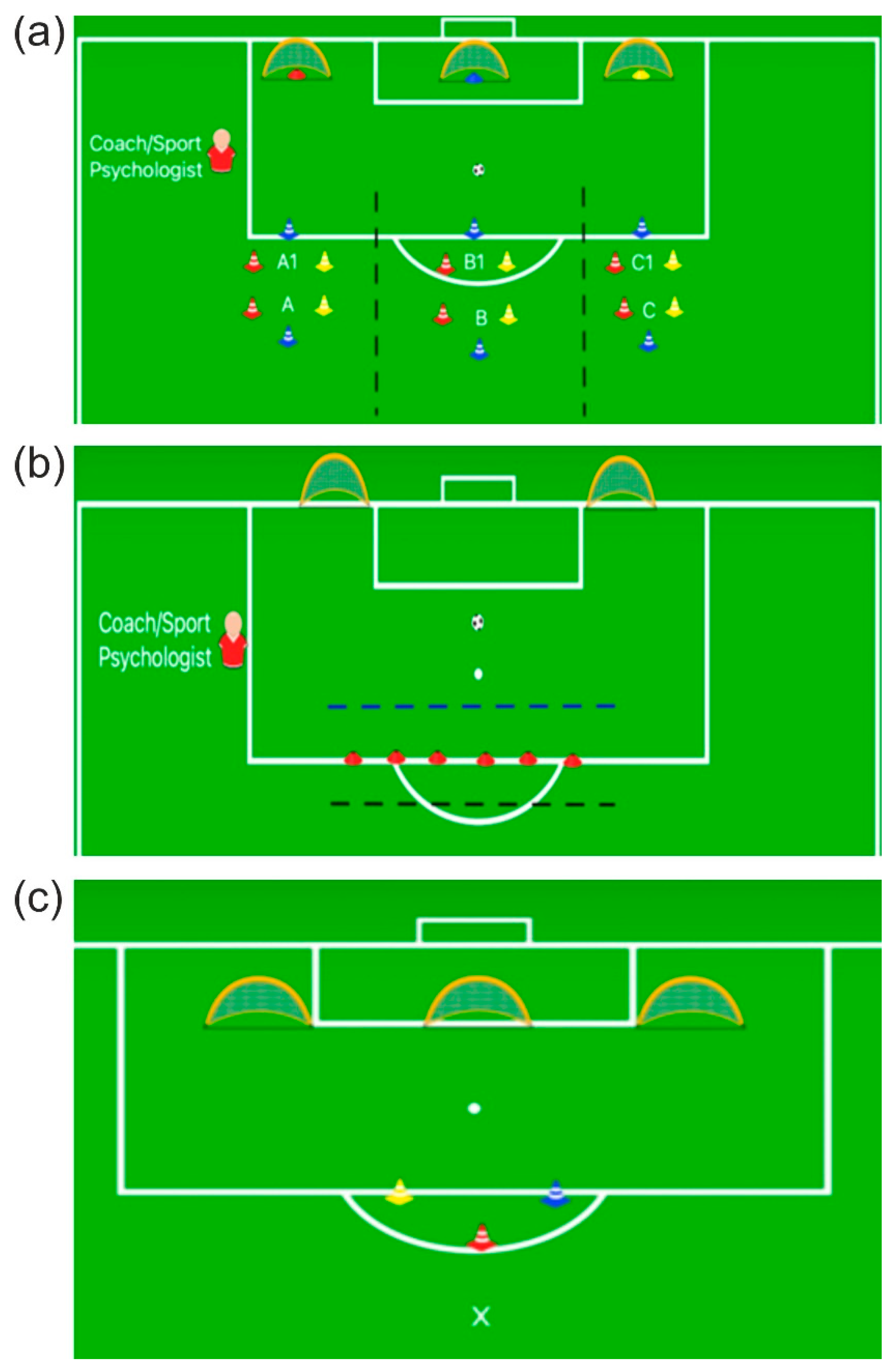 Brainsci 12 01624 g003