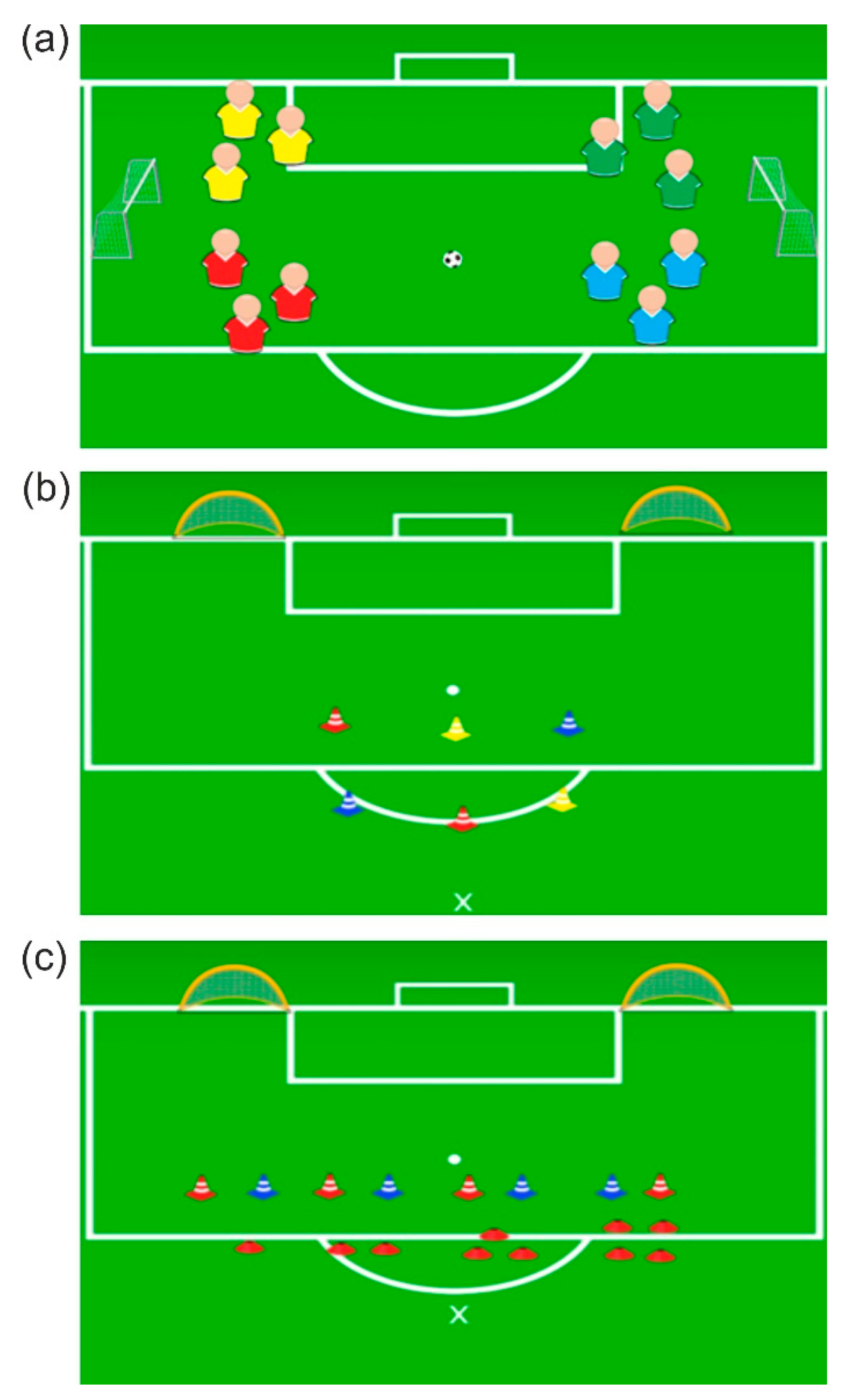 Brainsci 12 01624 g004