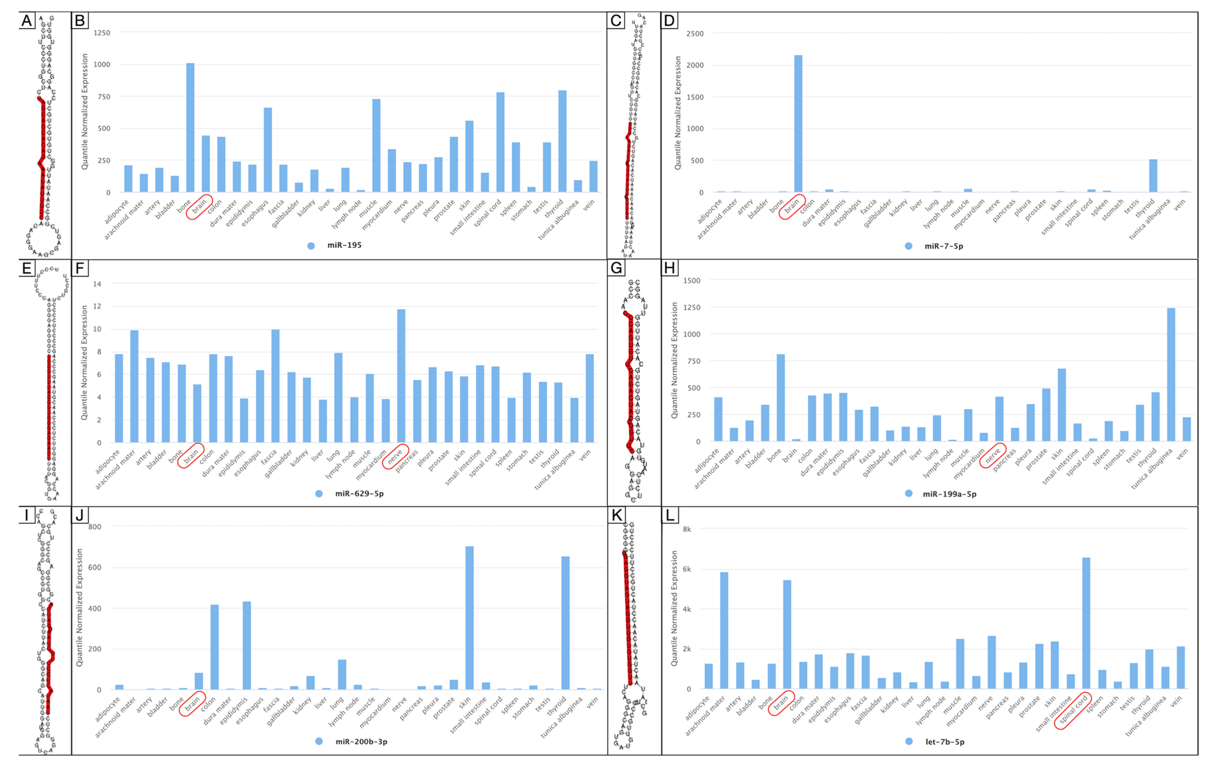 Brainsci 12 01628 g007
