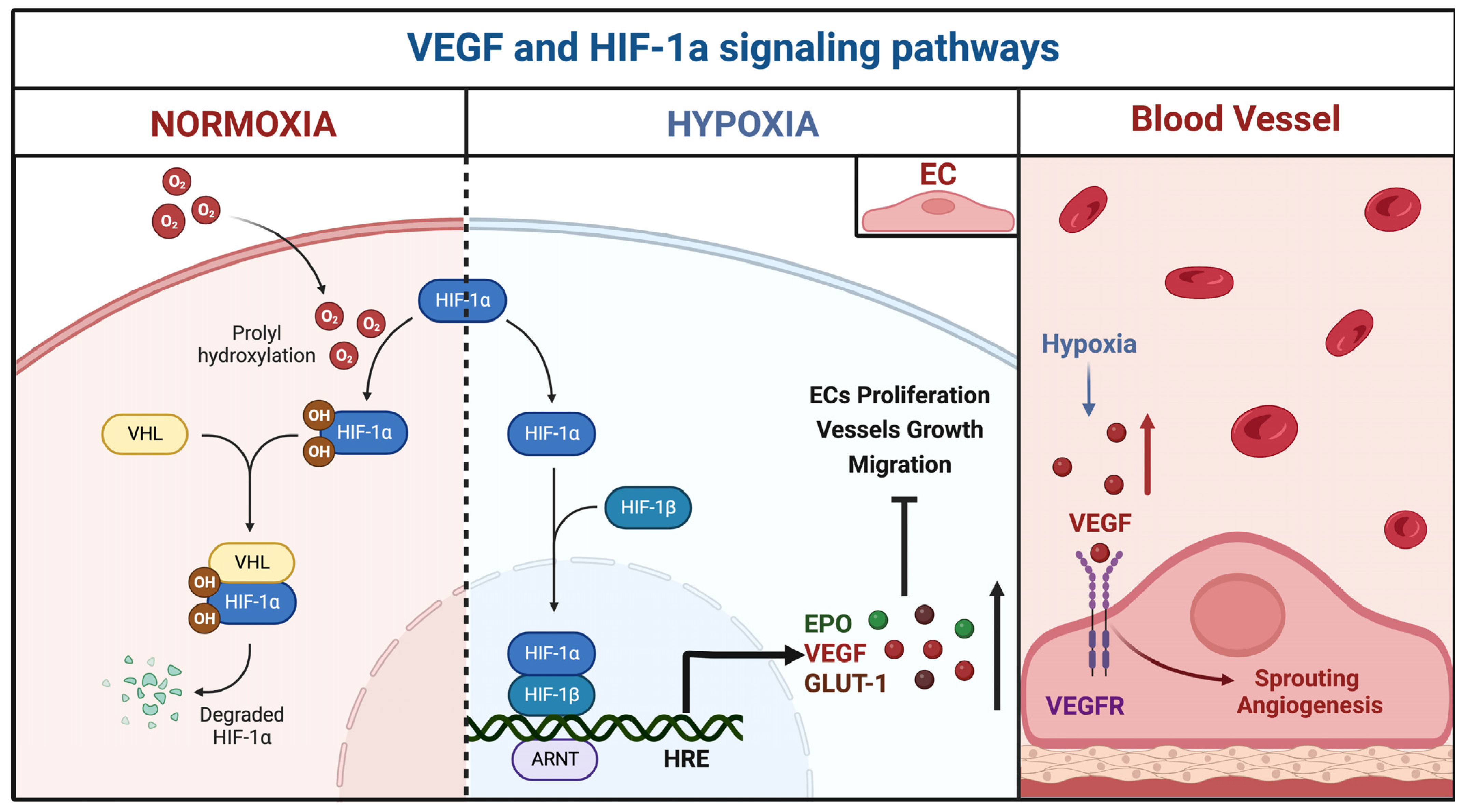Brainsci 12 01628 g009