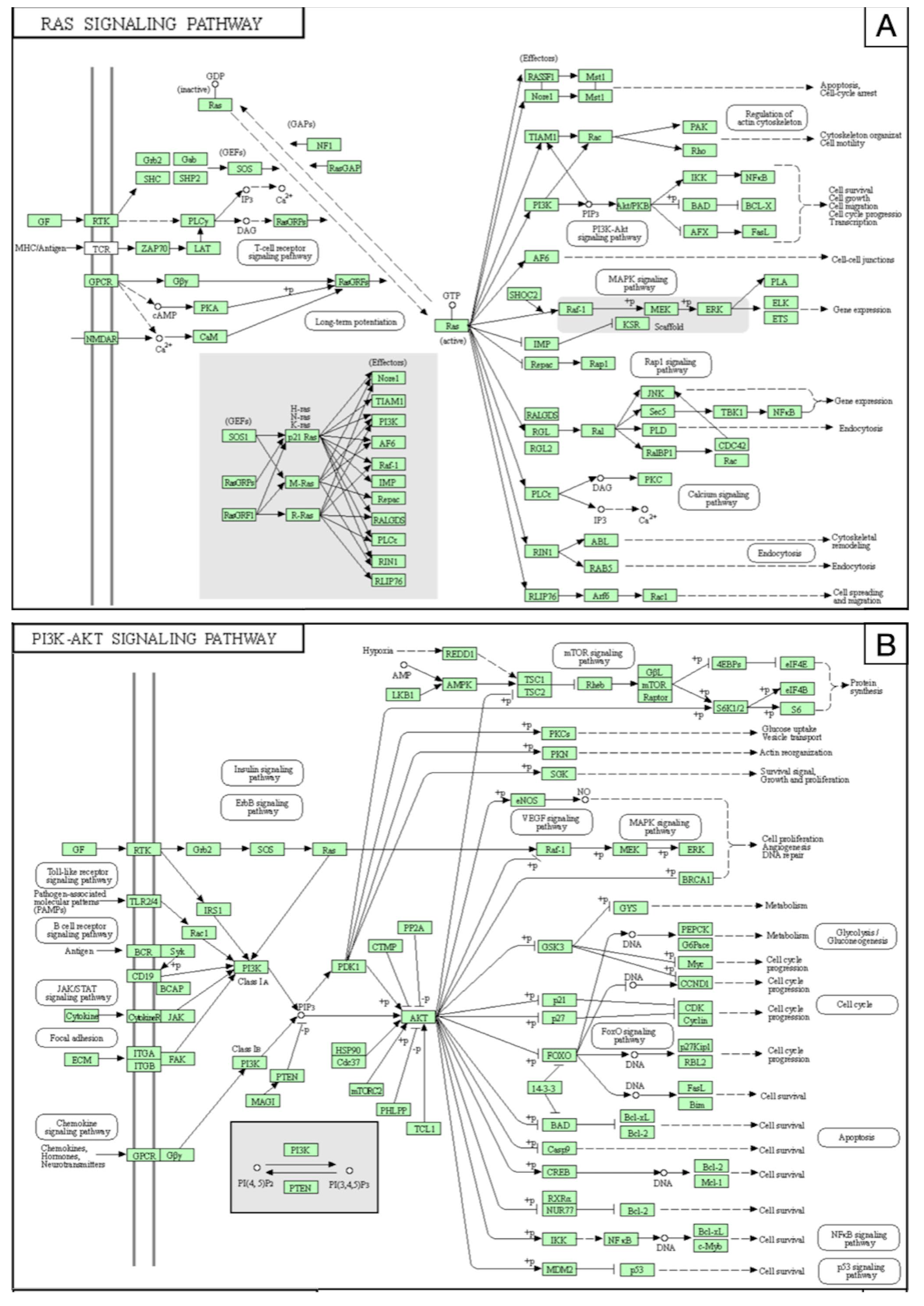 Brainsci 12 01628 g010a