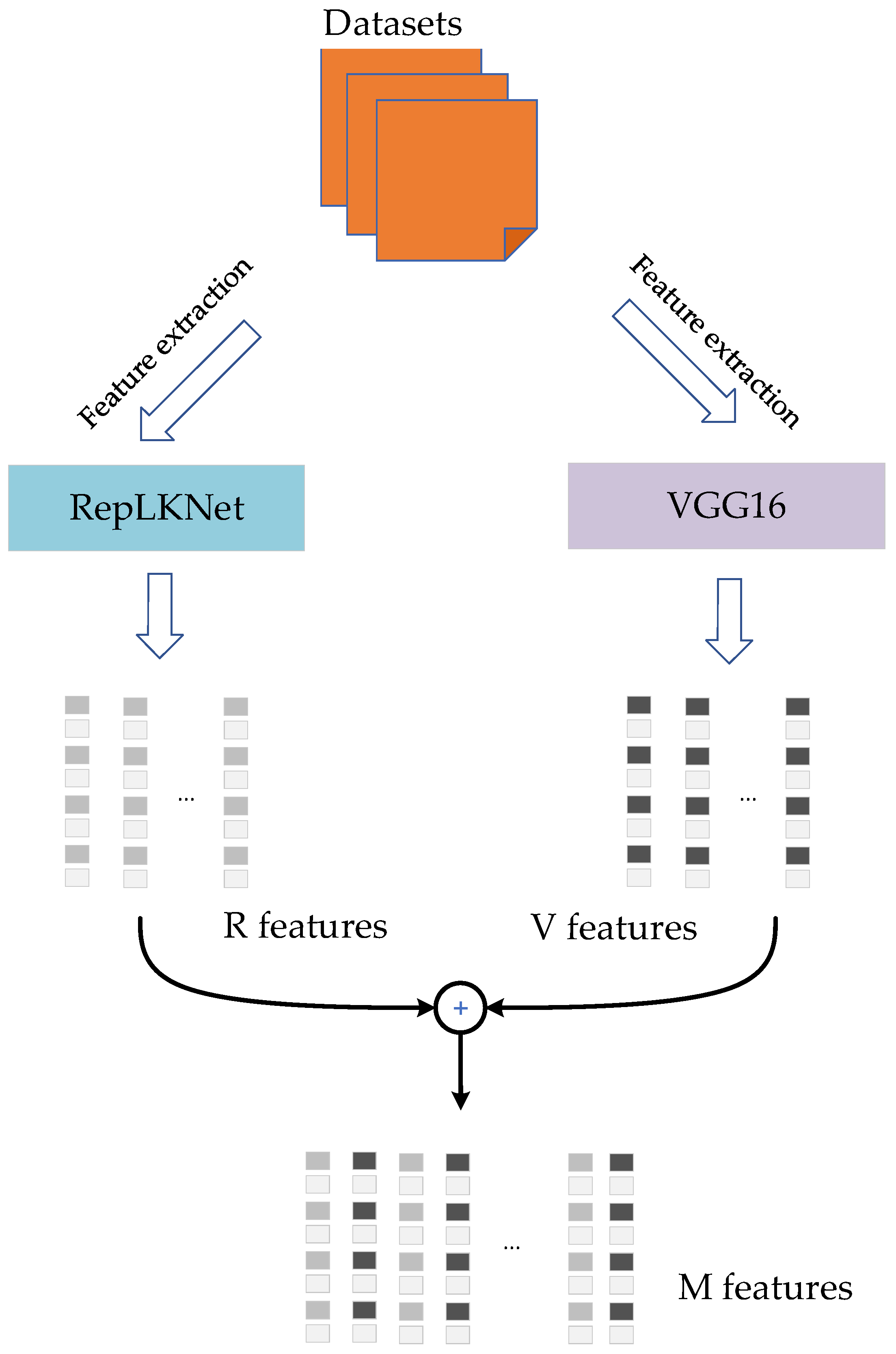 Brainsci 12 01633 g002