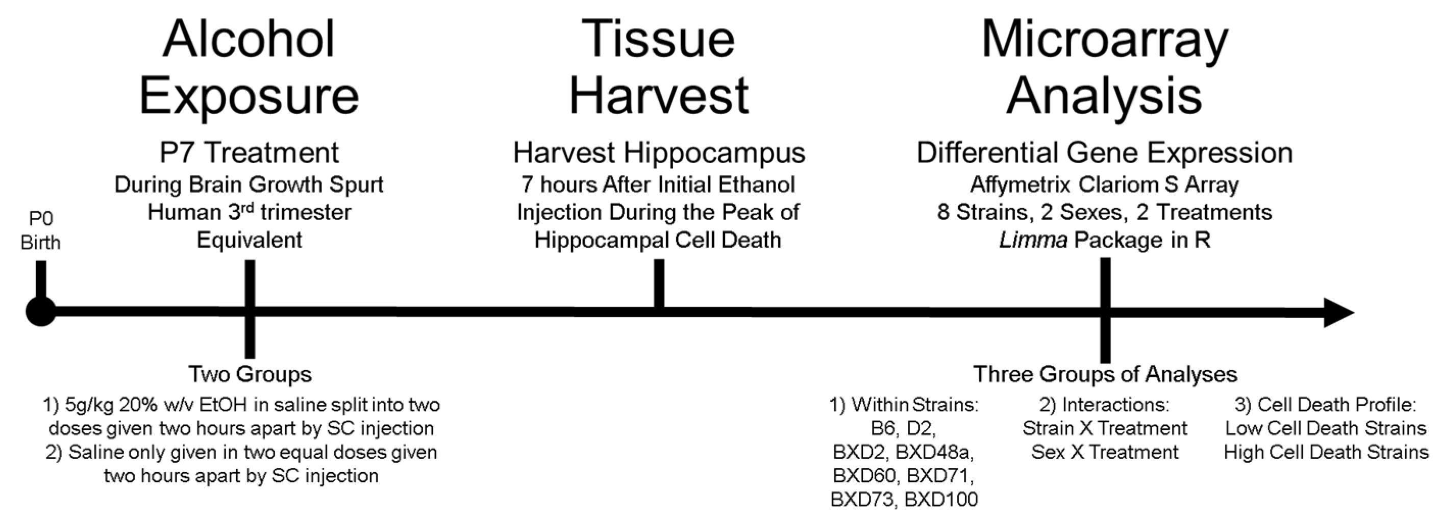 Brainsci 12 01634 g001 Brainsci 12 01634 g001