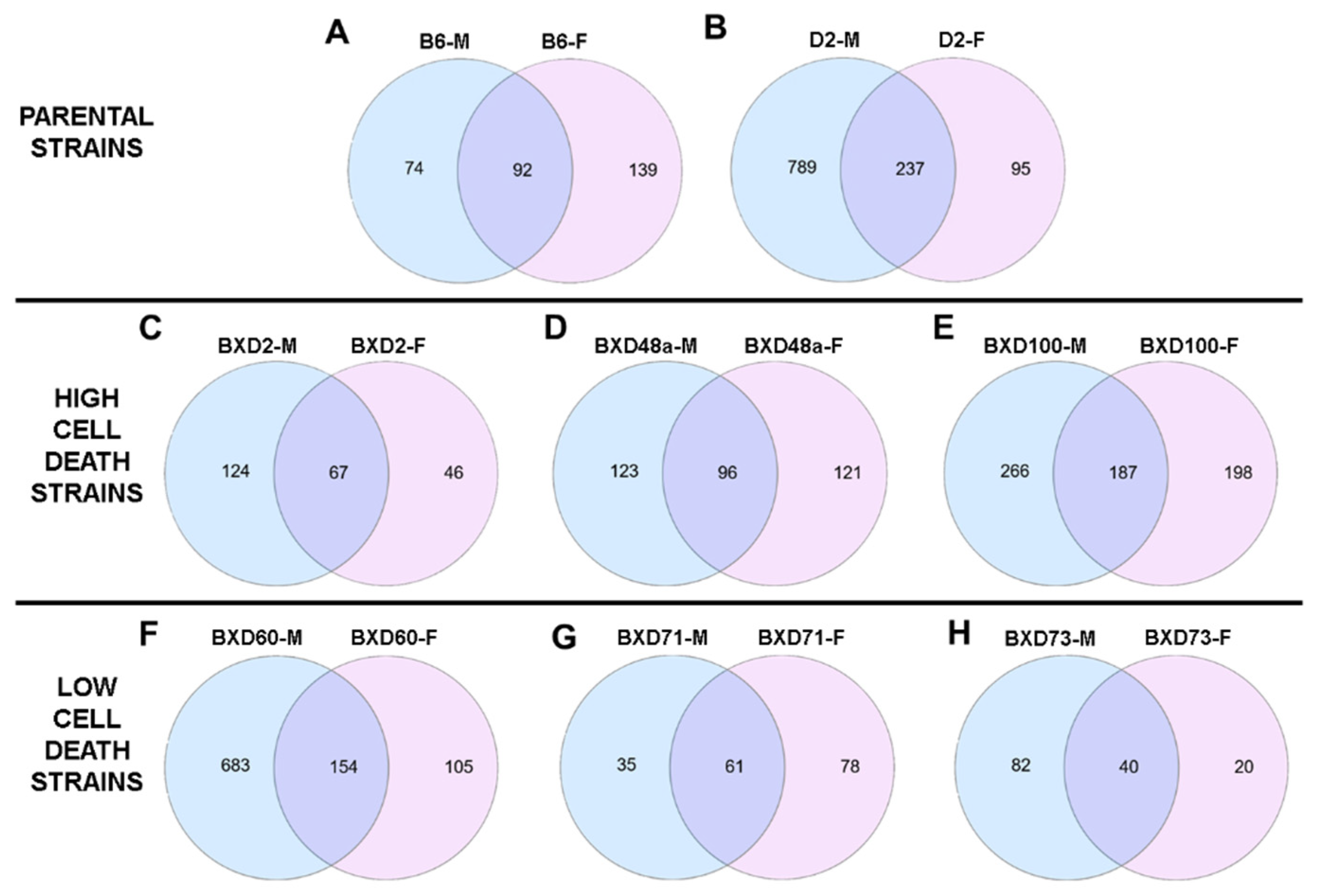 Brainsci 12 01634 g002 Brainsci 12 01634 g002