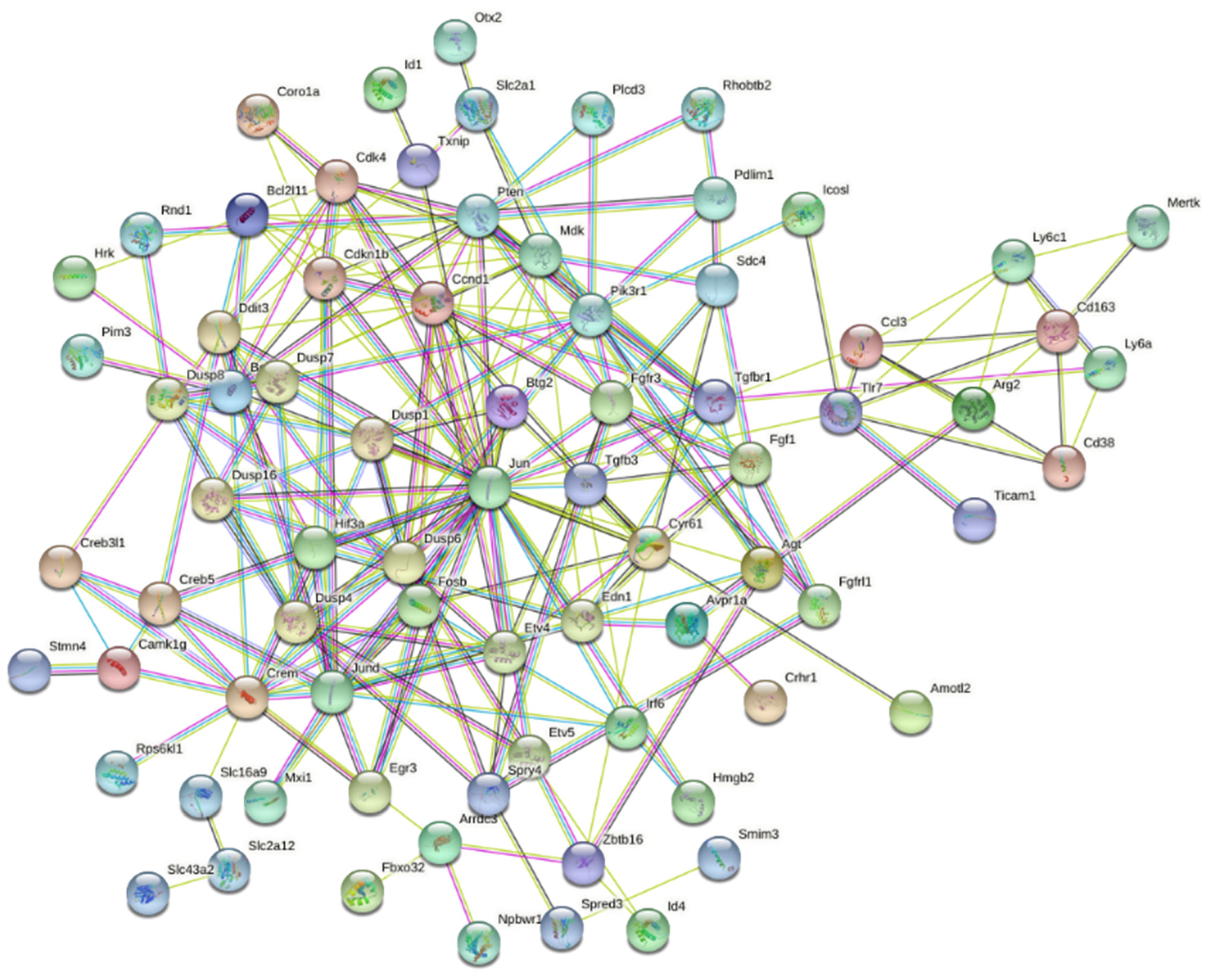 Brainsci 12 01634 g005 Brainsci 12 01634 g005