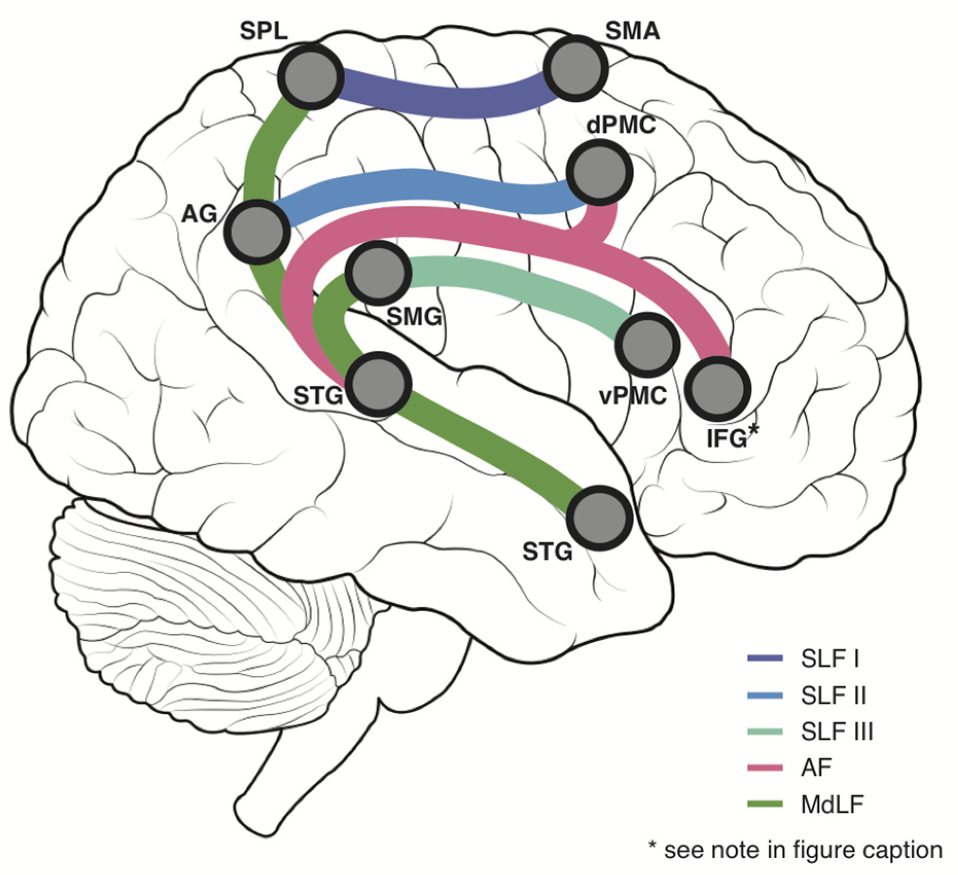 Brainsci 12 01651 g001